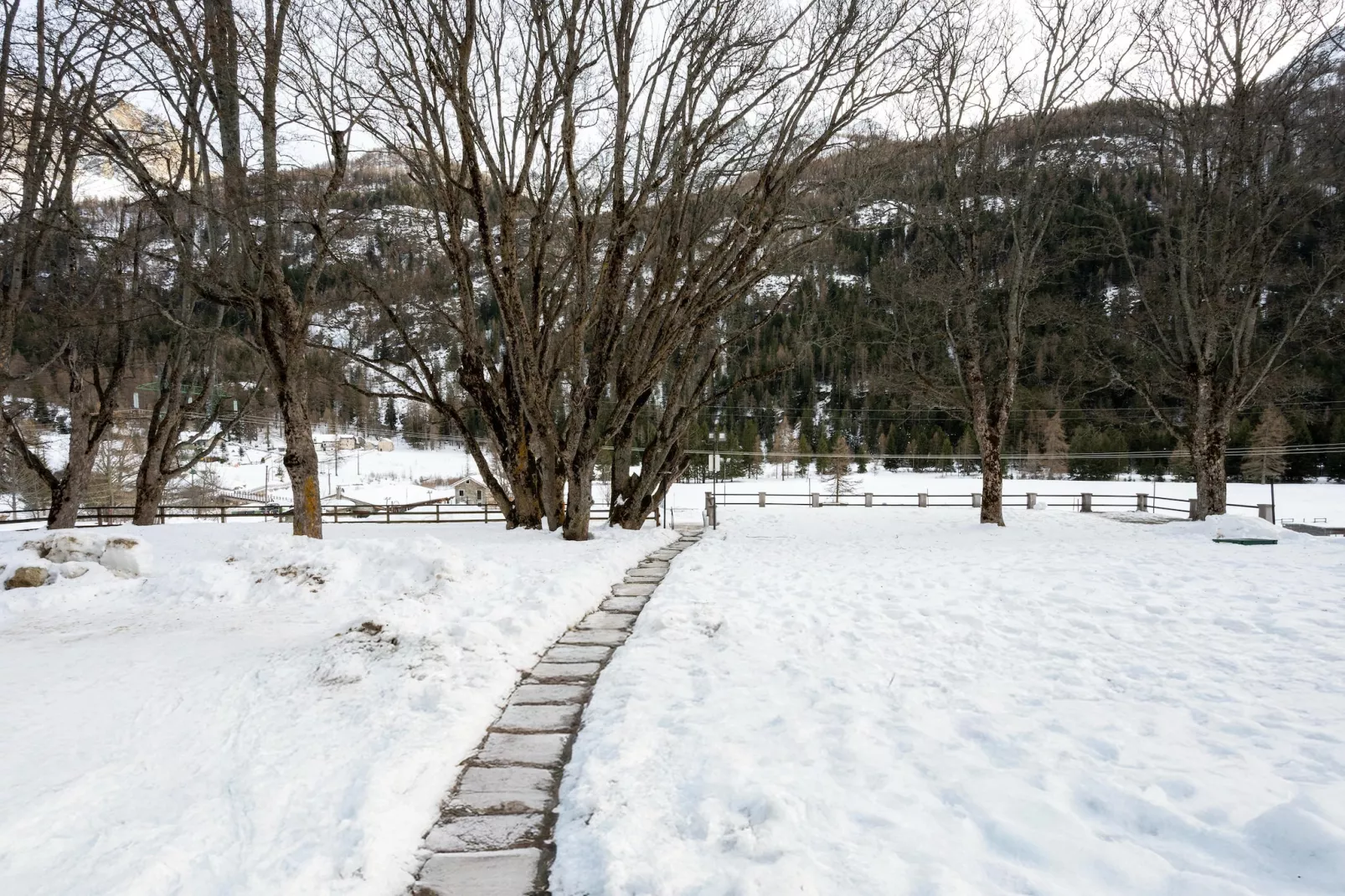 BILO 2 CERESOLE-Aussicht Winter