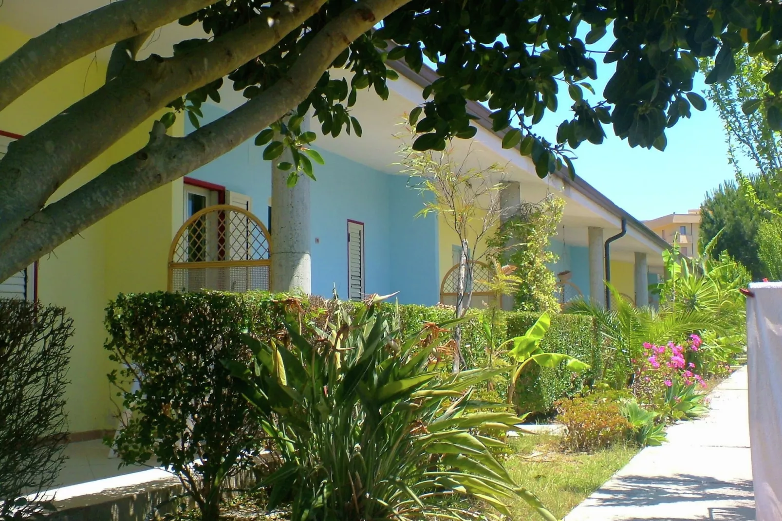 Limoncello-Extérieur été