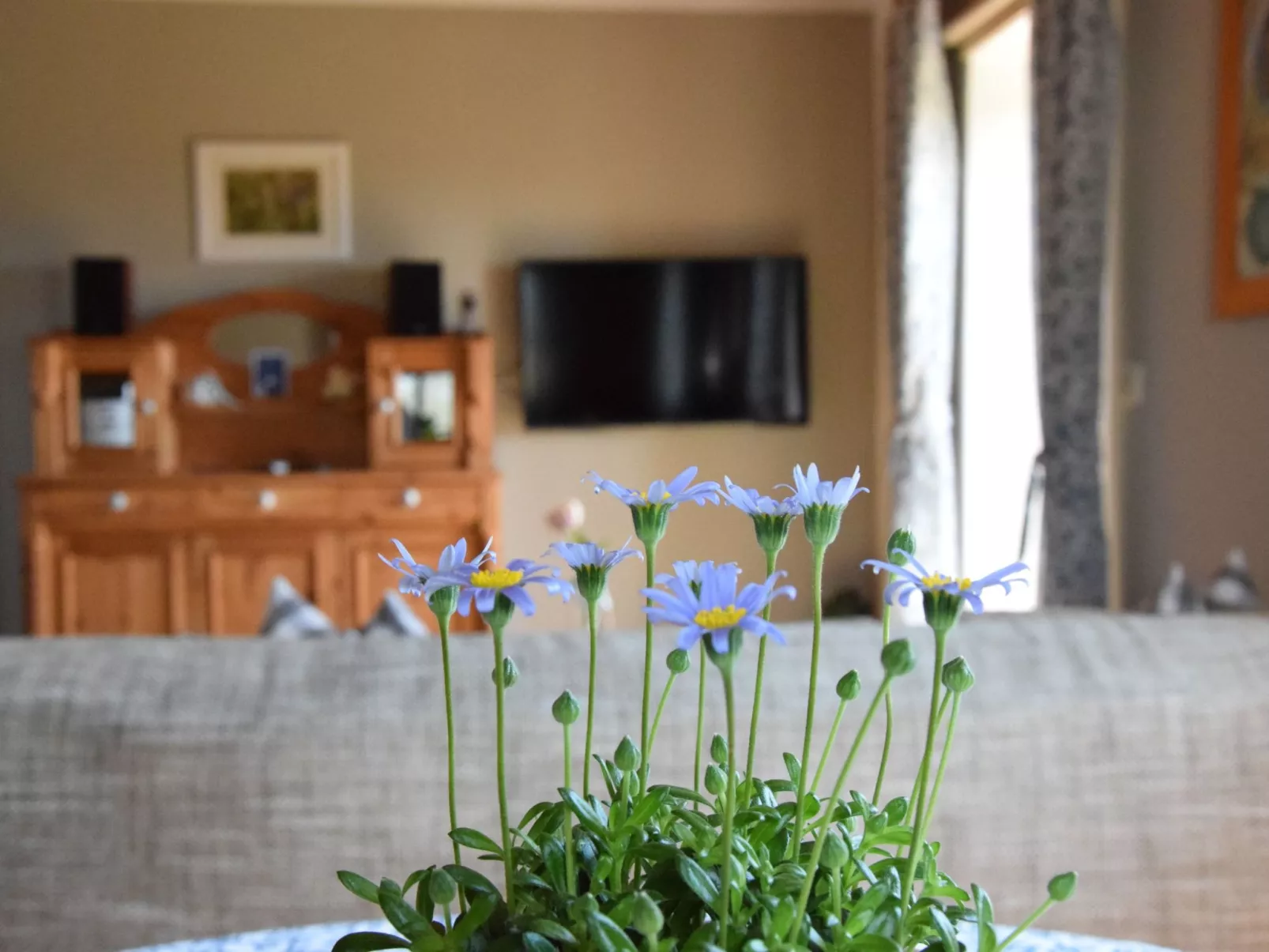 Charmant trifft Moderne - Ferienwohnung Linde - Image-tags.info