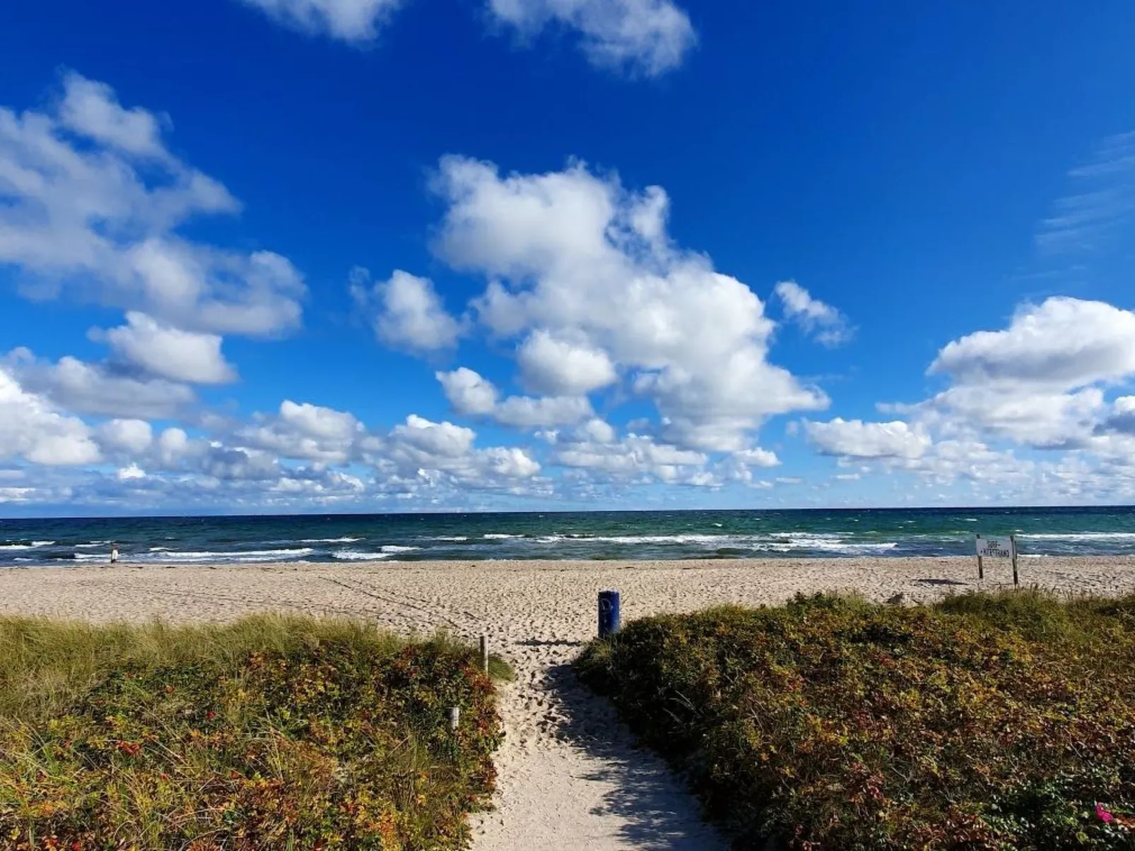 Maltes-Ostseekoje - Image-tags.info