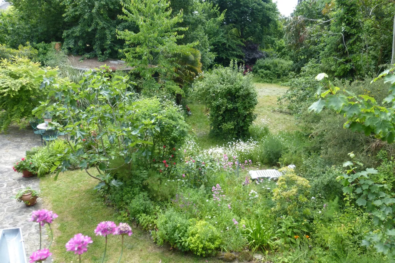 Dupleix dans un jardin bucolique à Saint Briac sur Mer-Jardin d'été