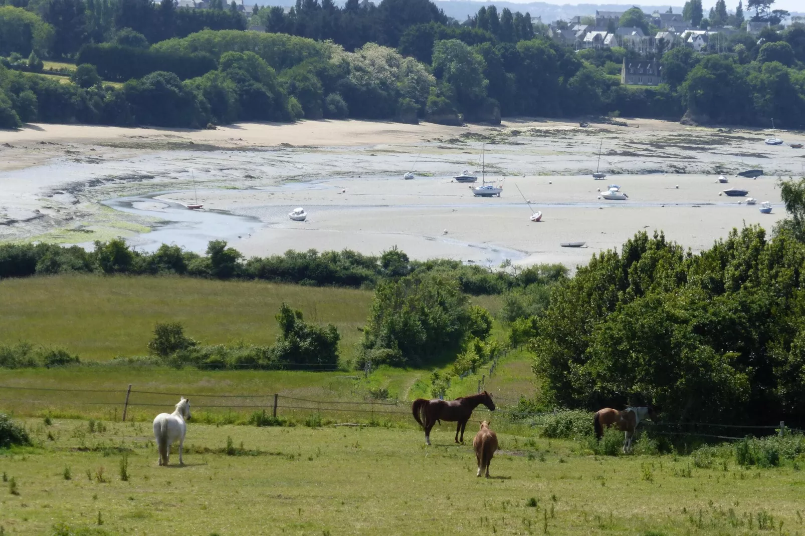 Dupleix dans un jardin bucolique à Saint Briac sur Mer-Zones d'été à 1 km