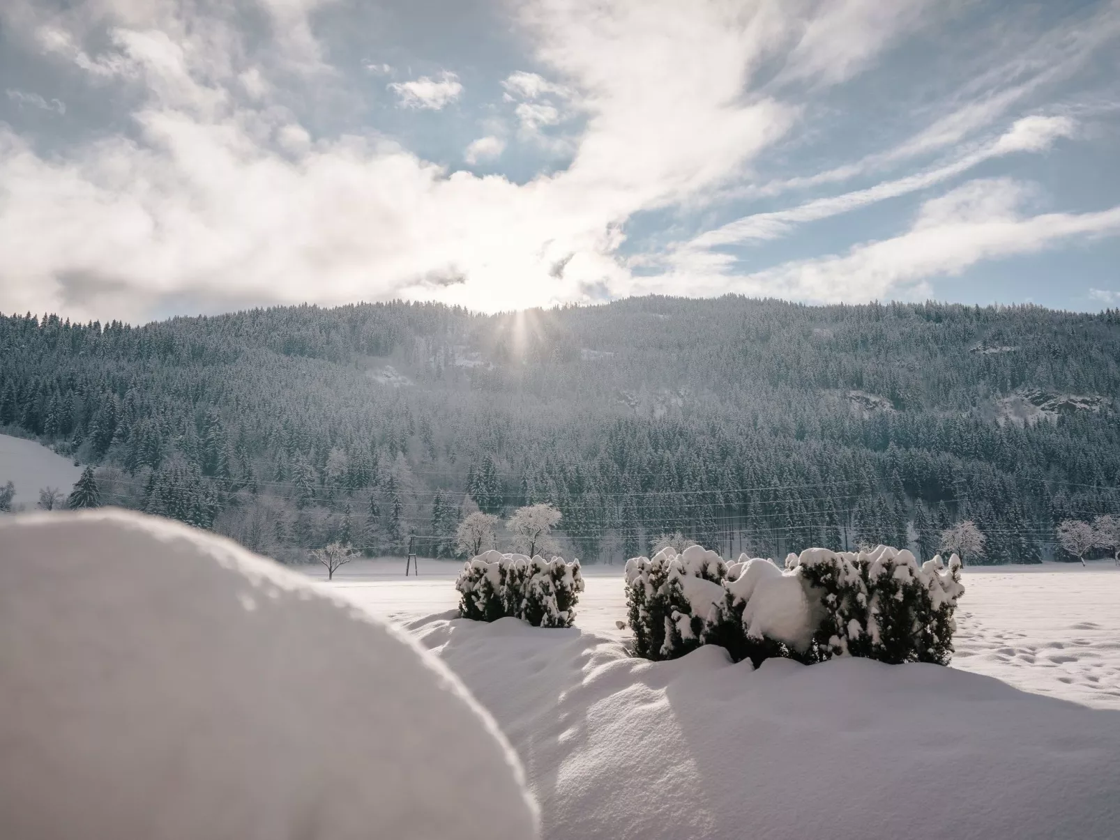 In Murau mit Privatem Pool - Image-tags.info