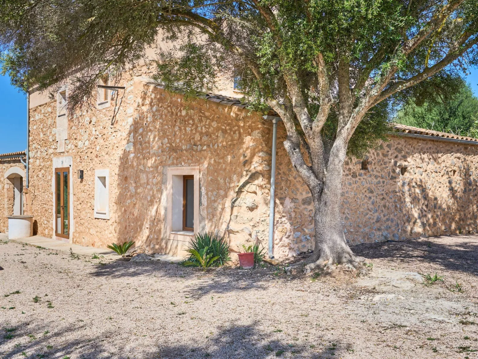 Galeri - Dehors