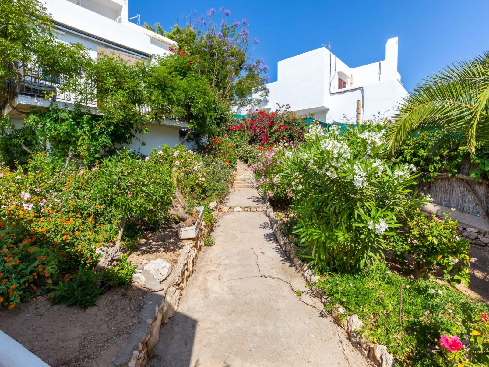 Playa Dor 18 - Outside