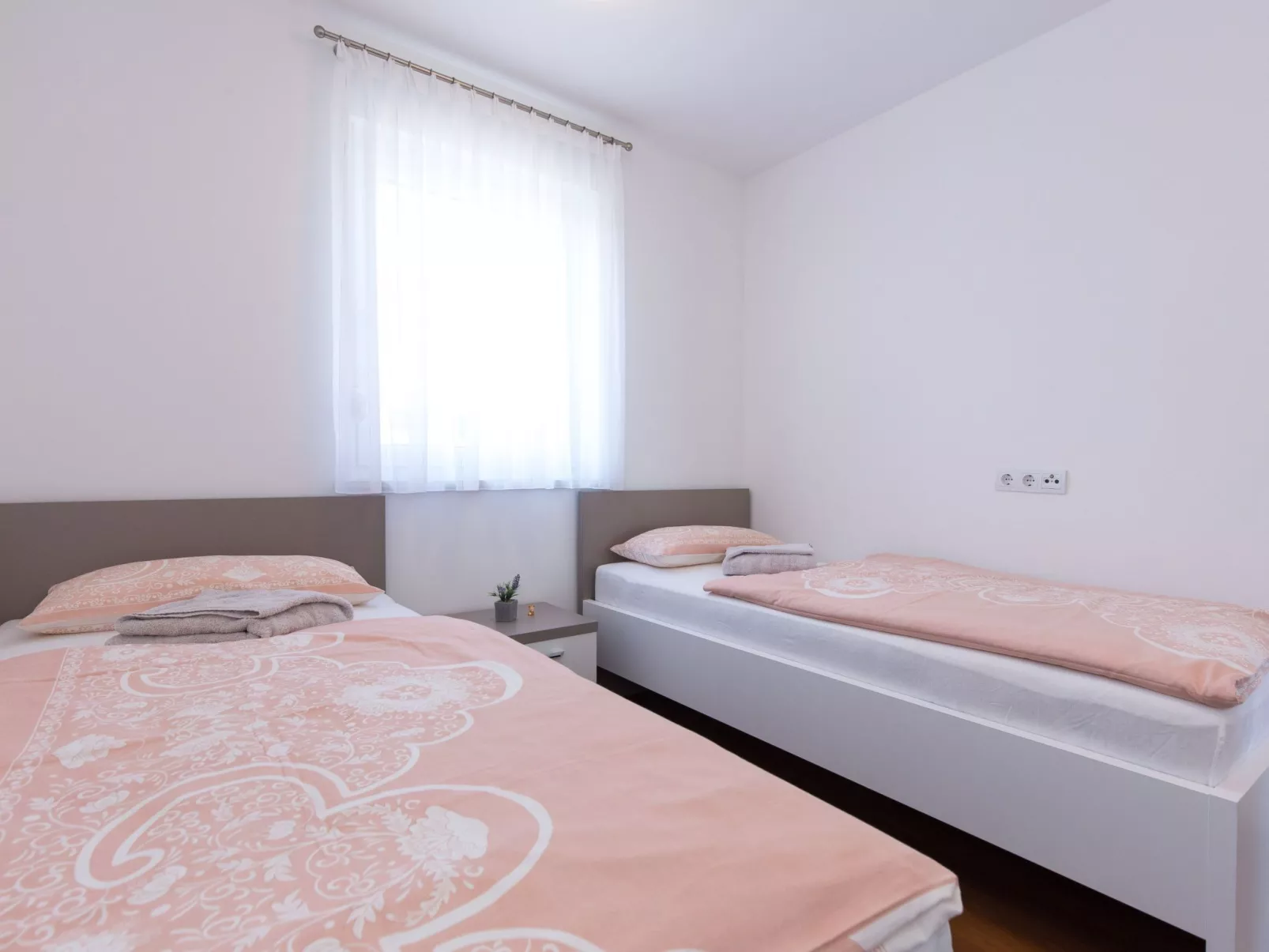 Niko 2 - Image-tags.info