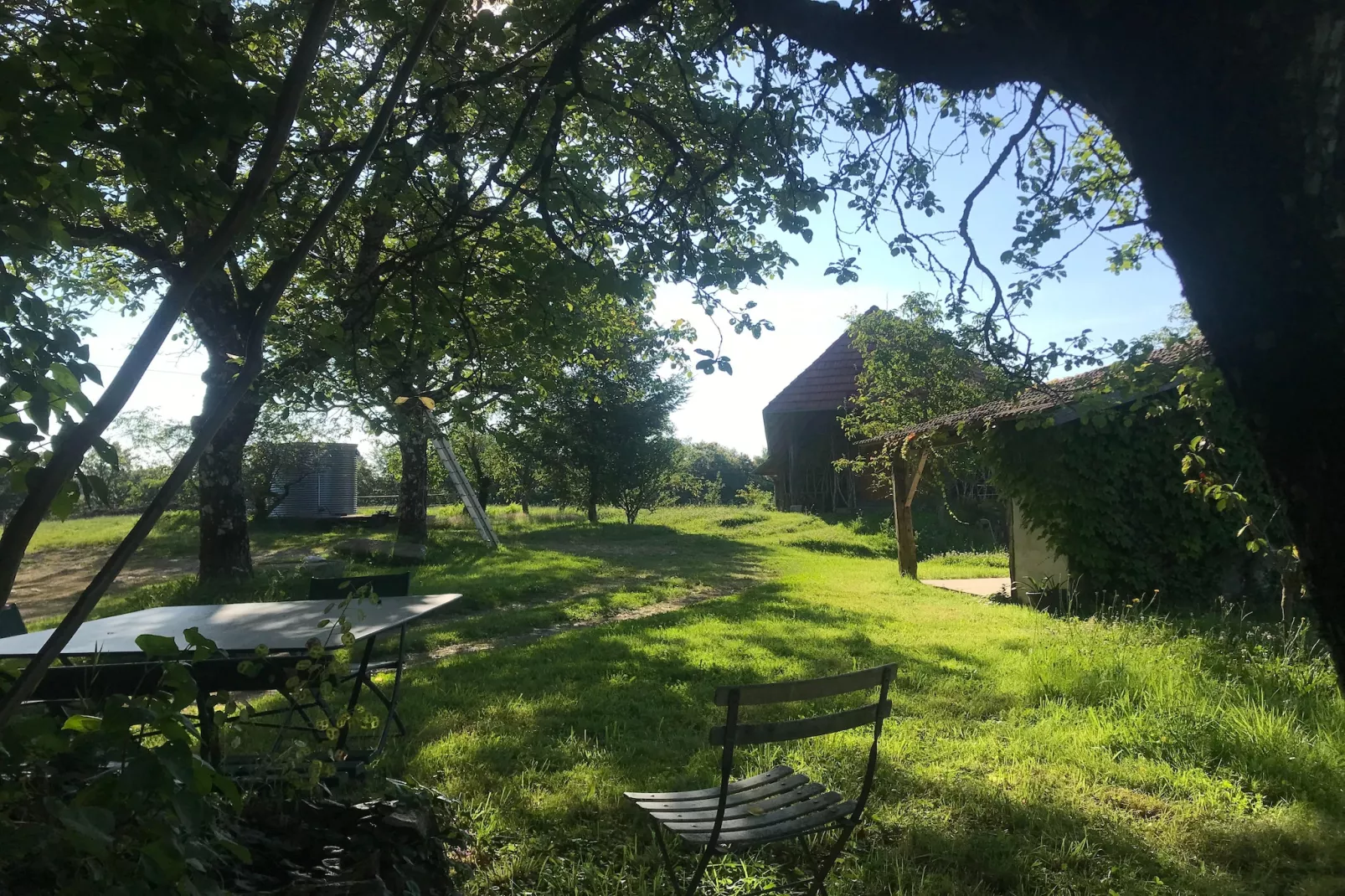 The Grange - Gardens in summer