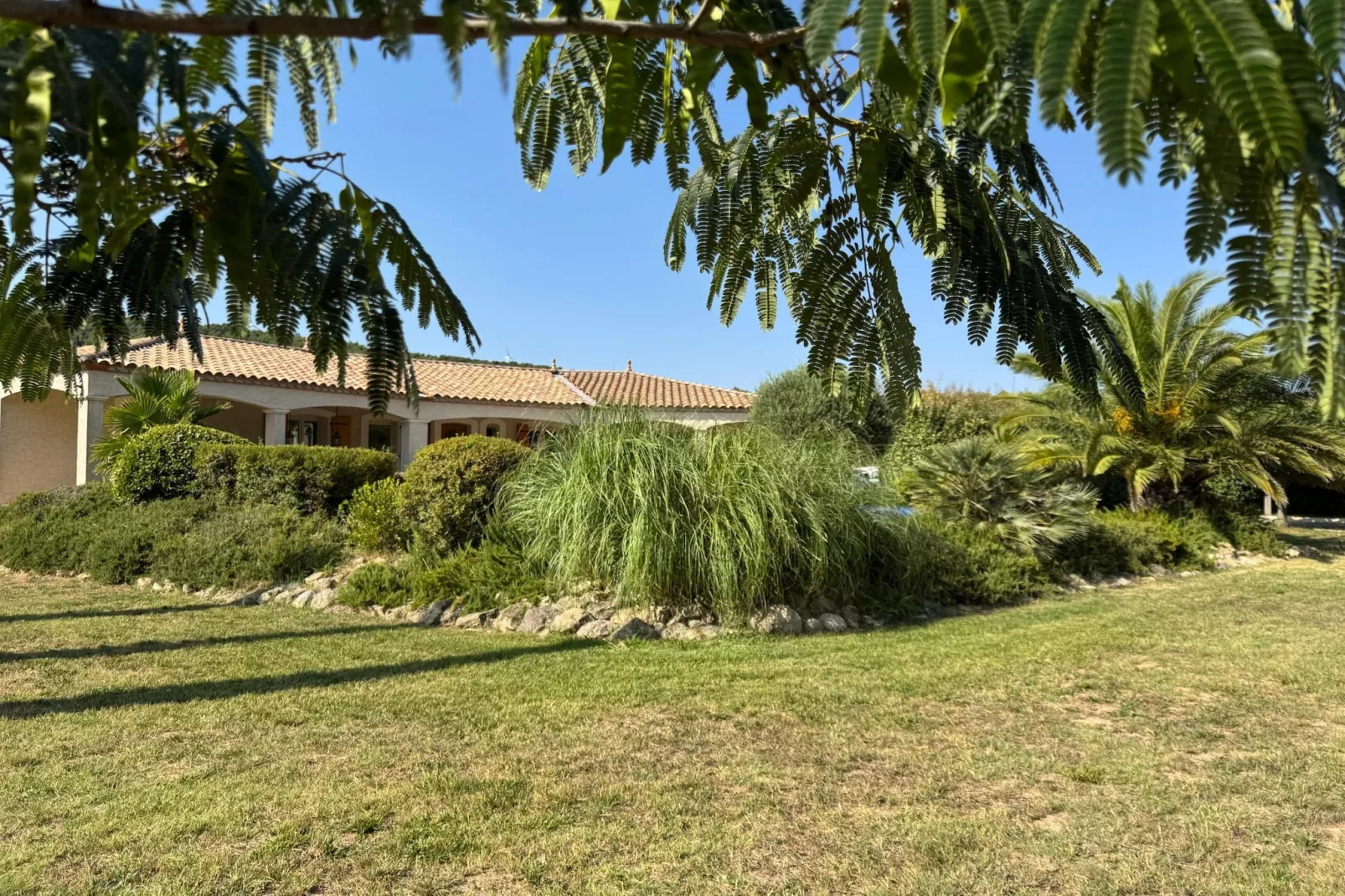 Villa l'Olivier-Garten Sommer