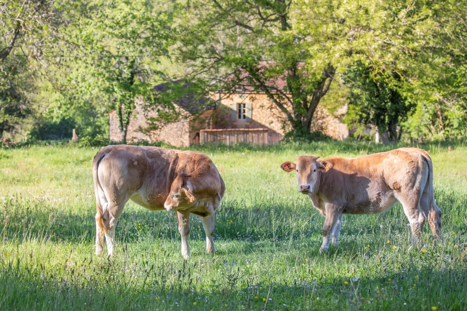 Le petit Nichoir-Areas within 1km in summer