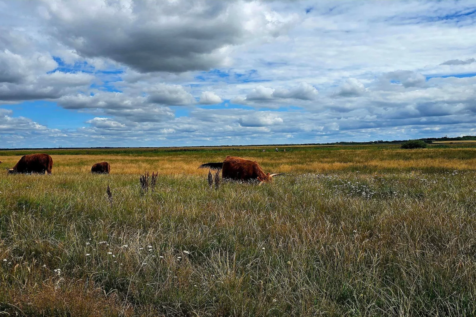 8 person holiday home in Skjern-By Traum - Untagged