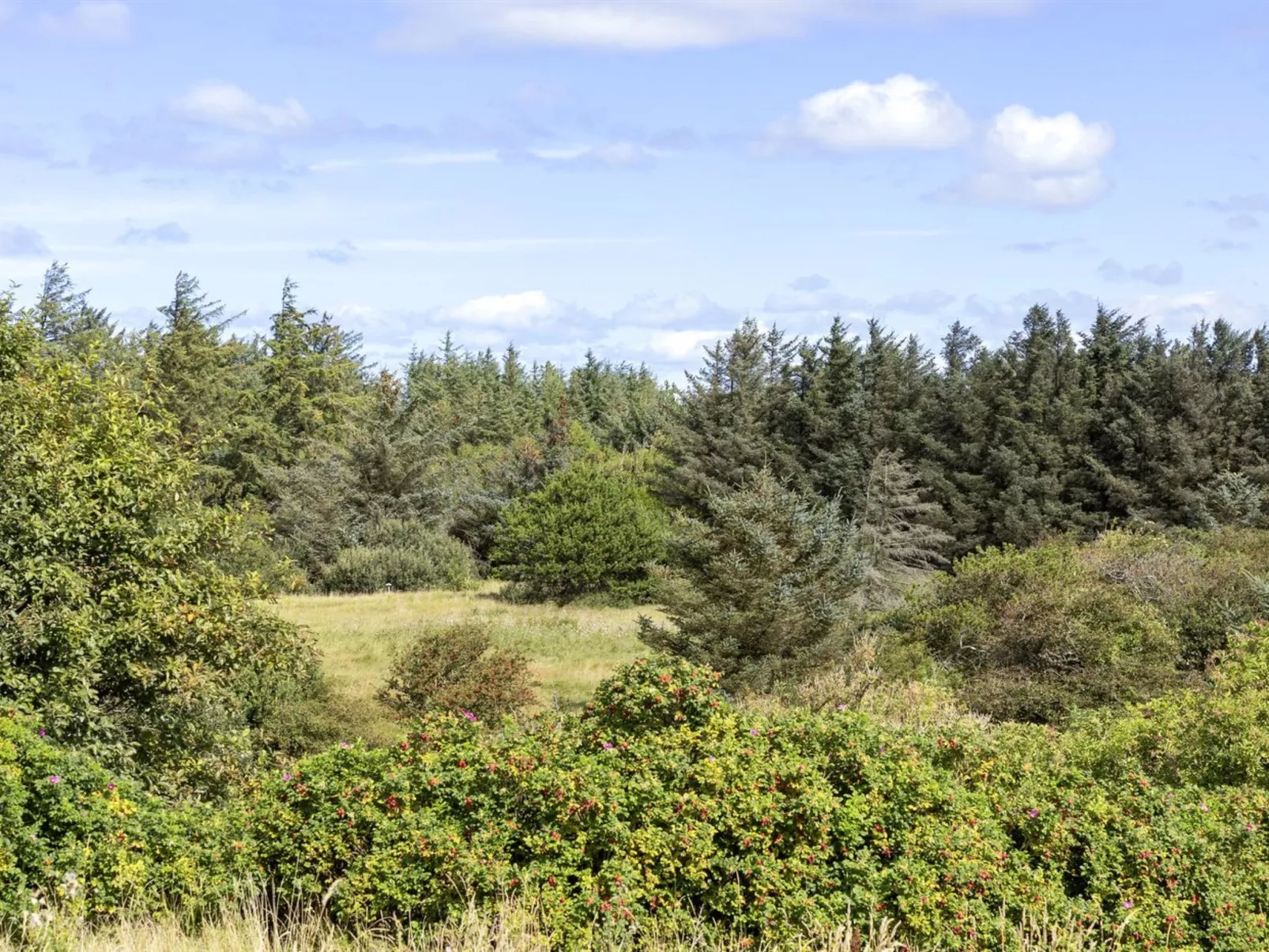 "Joris" - 1.5km from the sea-Draußen