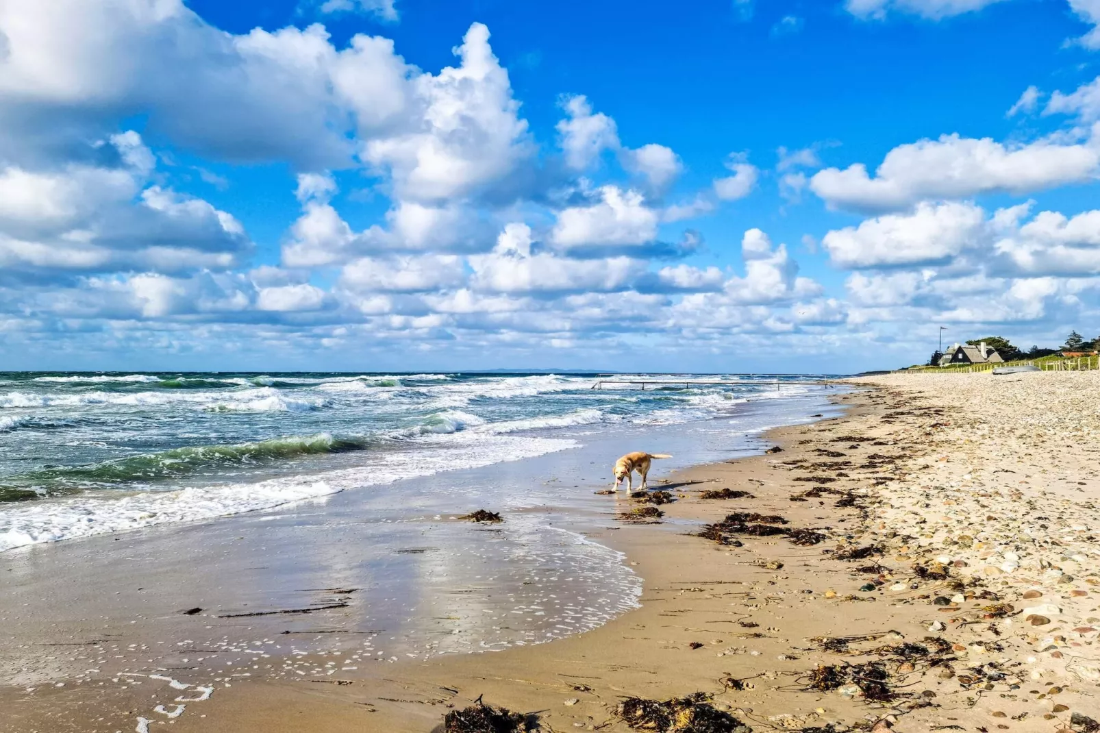 6 Personen Ferienhaus in Græsted-By Traum