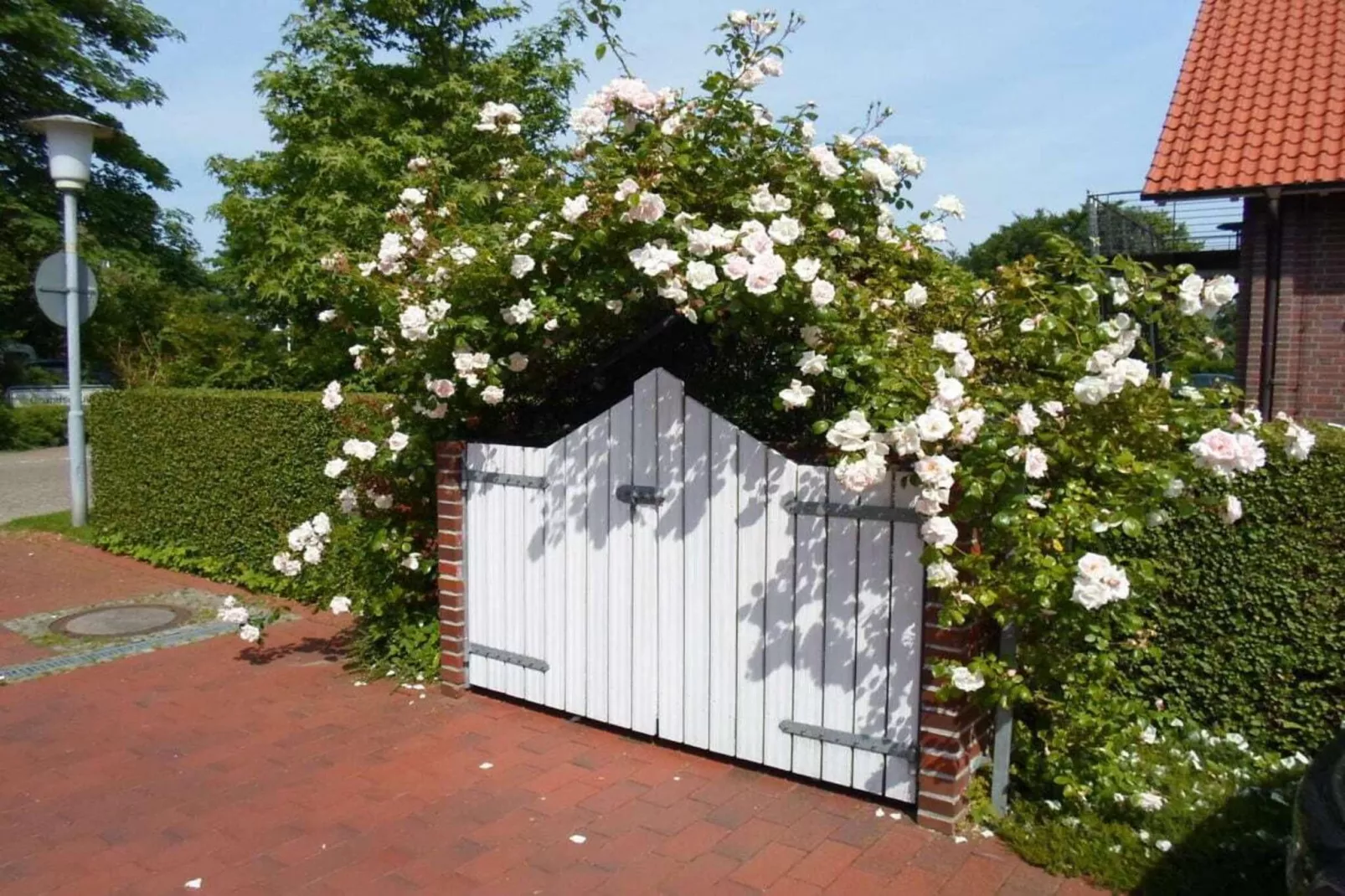 204827-Hall & reception