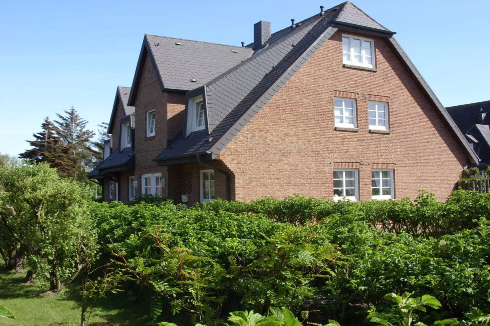 53319-Außenbereich Sommer