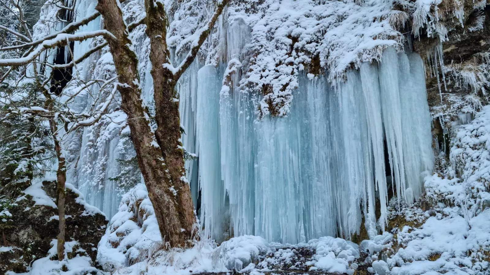 Oachkatzl-Zones hiver à 5 km