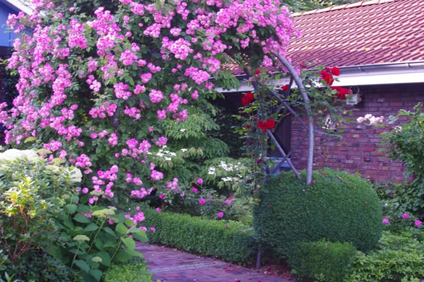 259581-Exterior in summer