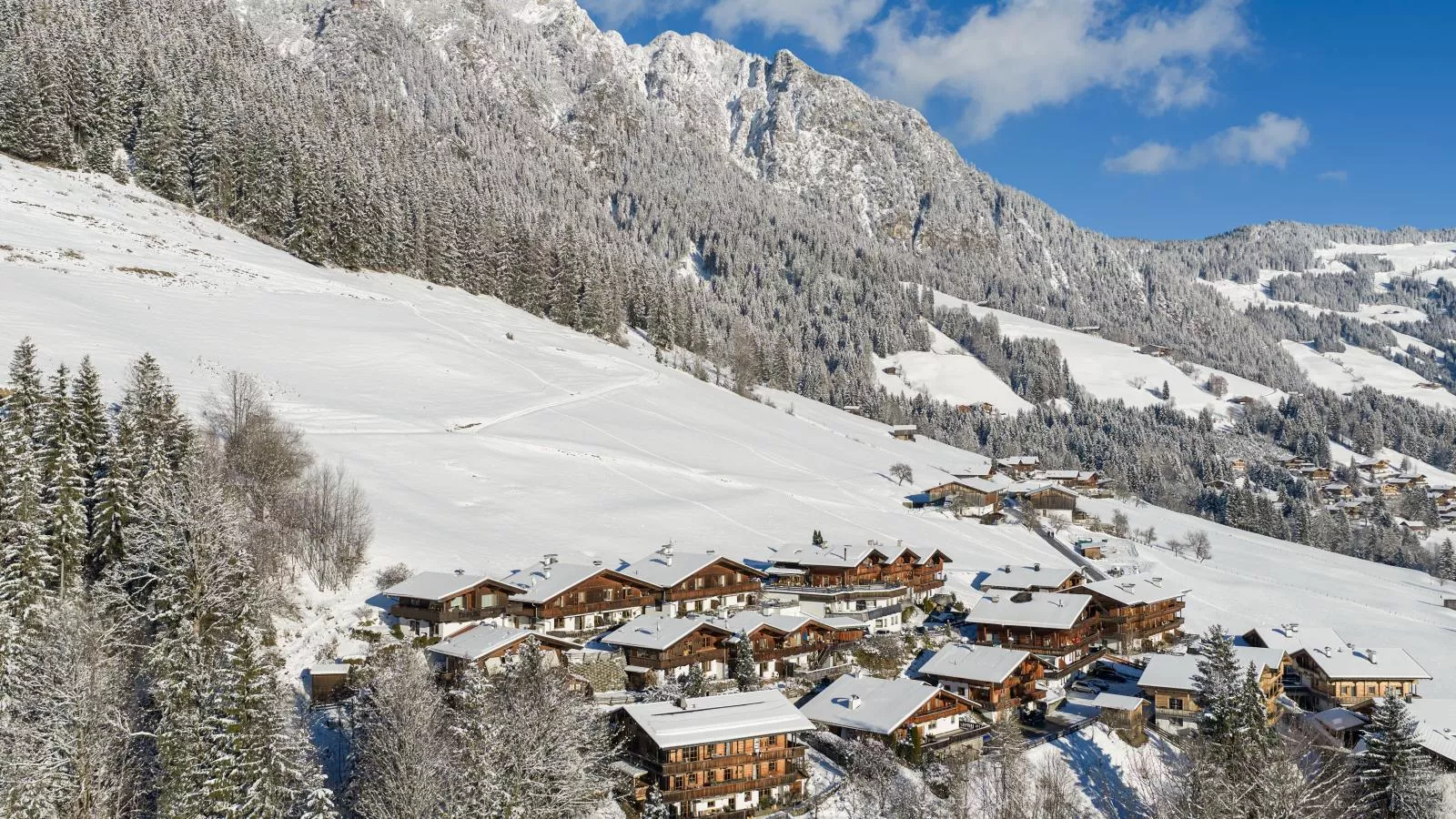 DAS Alpbach-Außenbereich Winter
