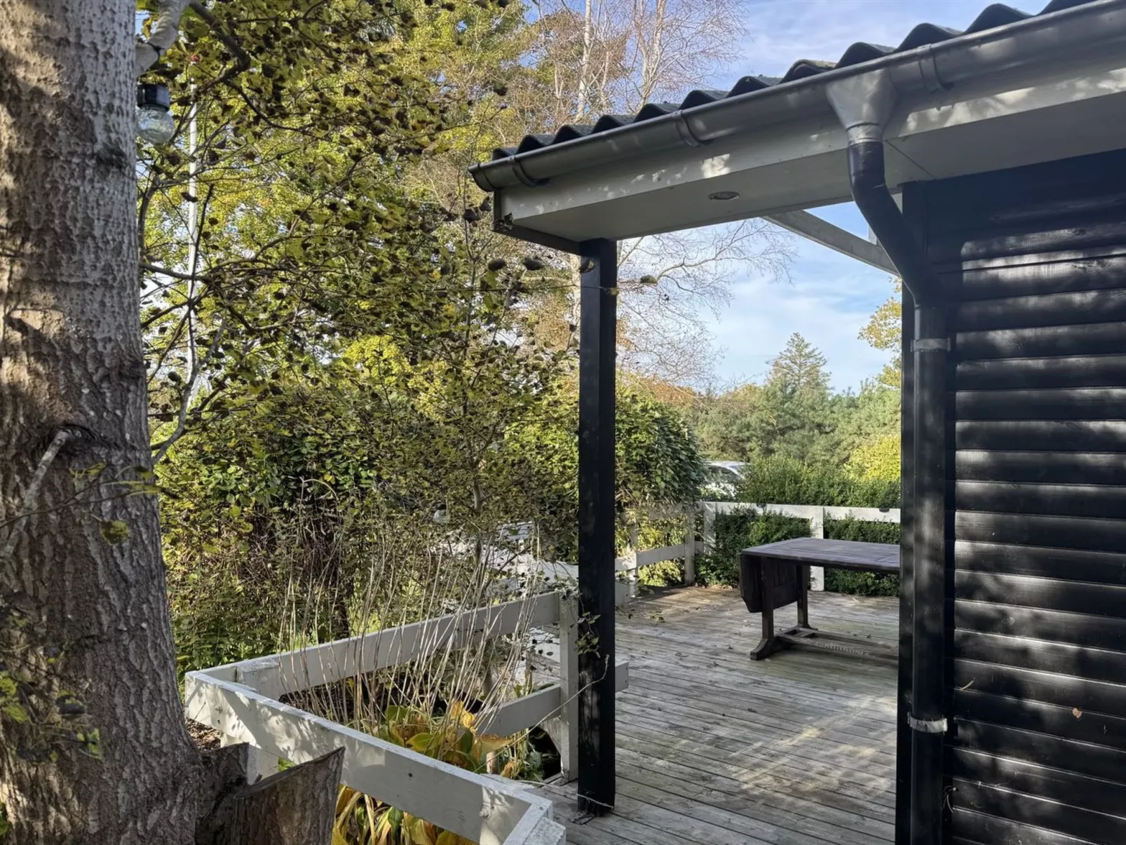 "Felicia" -  from the sea - Draußen