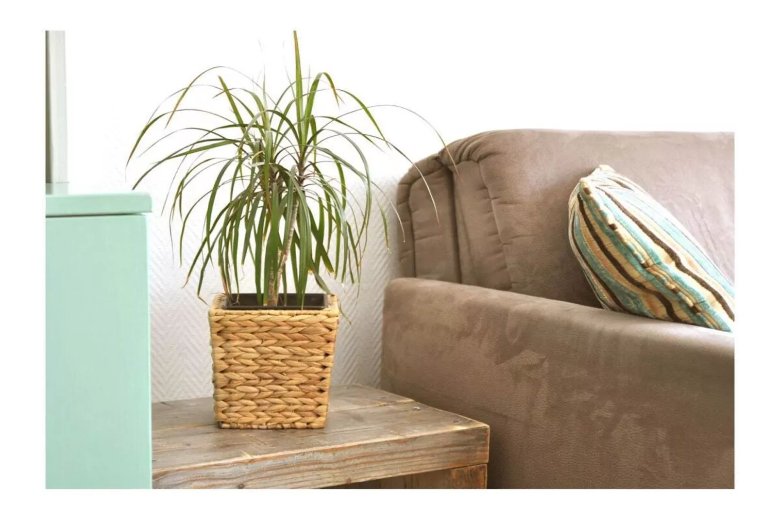 254647 - Living room