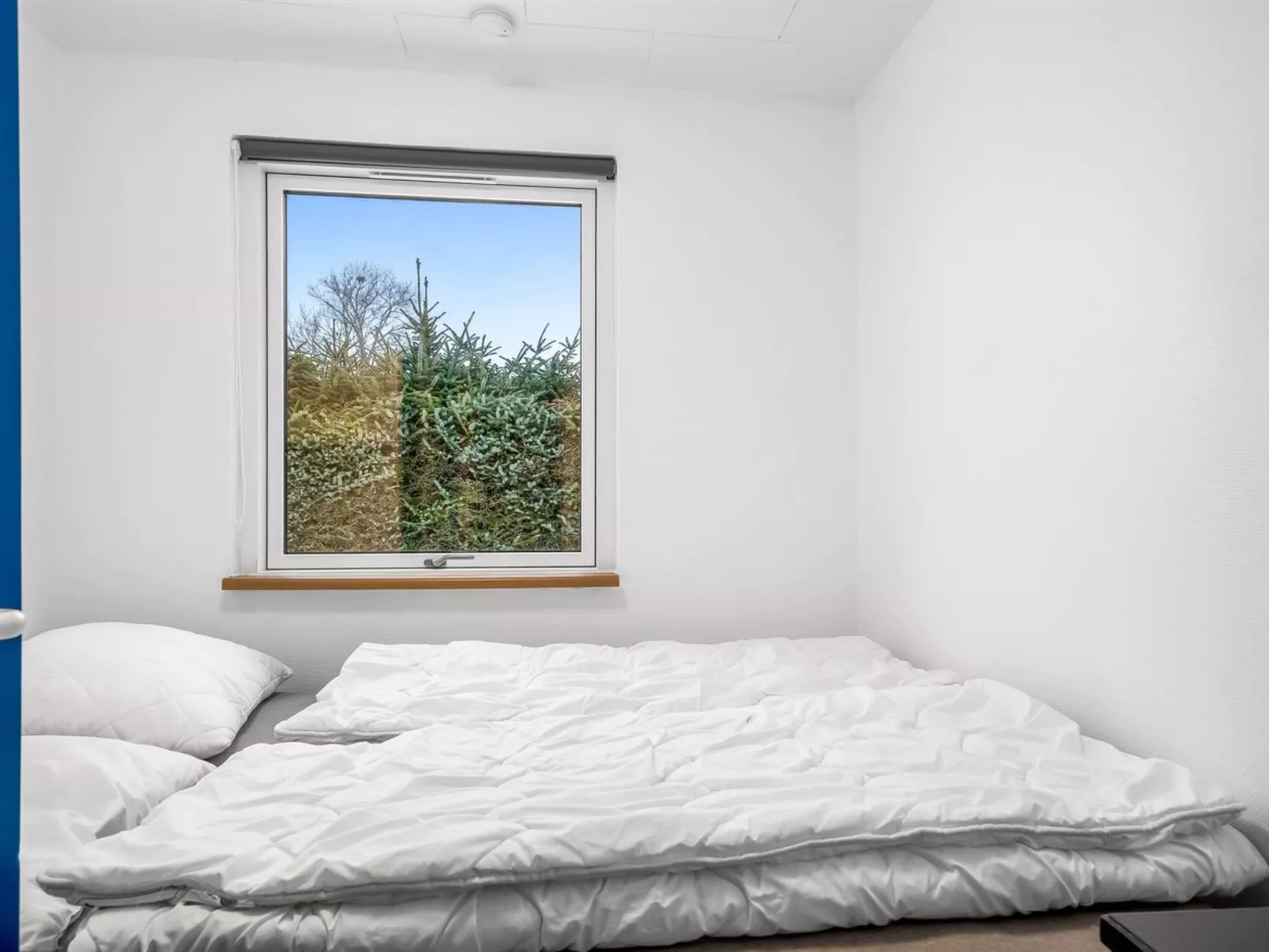 "Allyson" -  from the sea-Inside