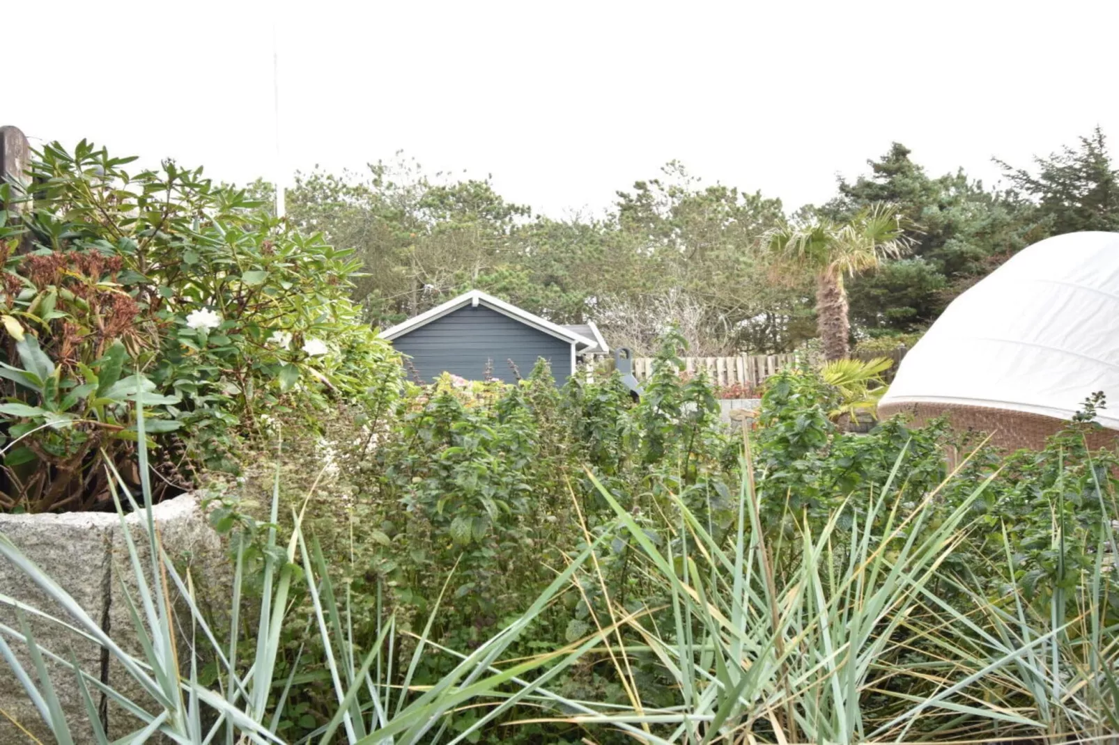 382416-Außenbereich Sommer