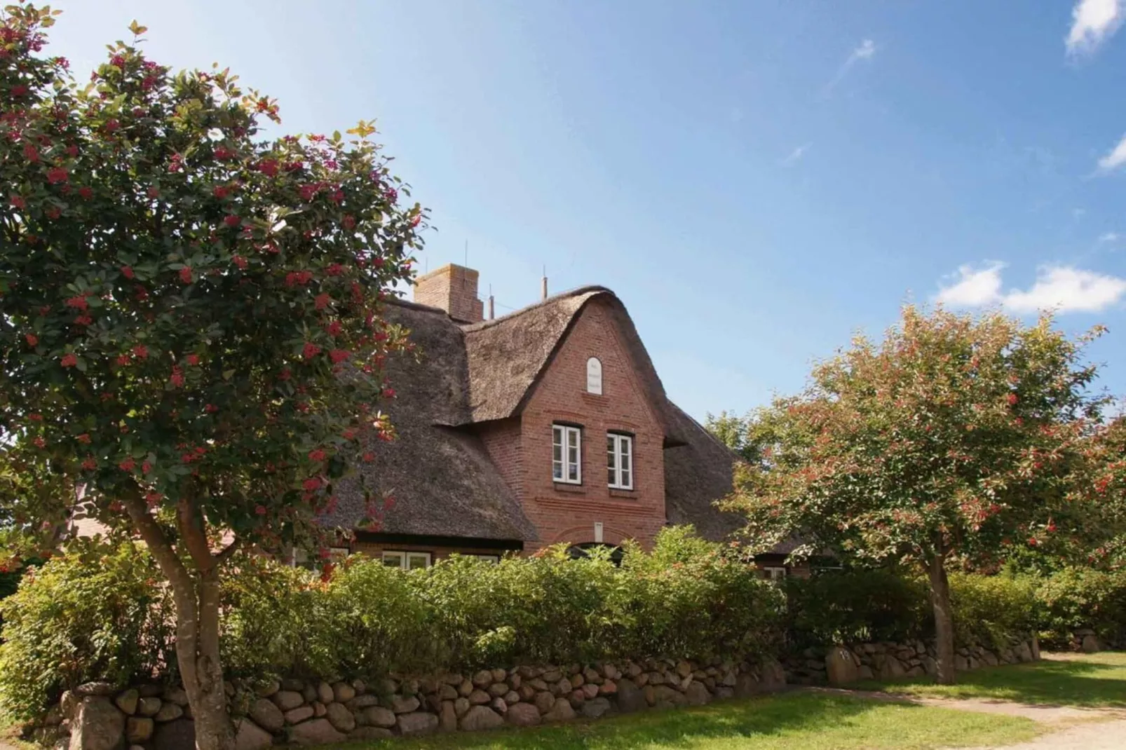 252827-Exterior in summer