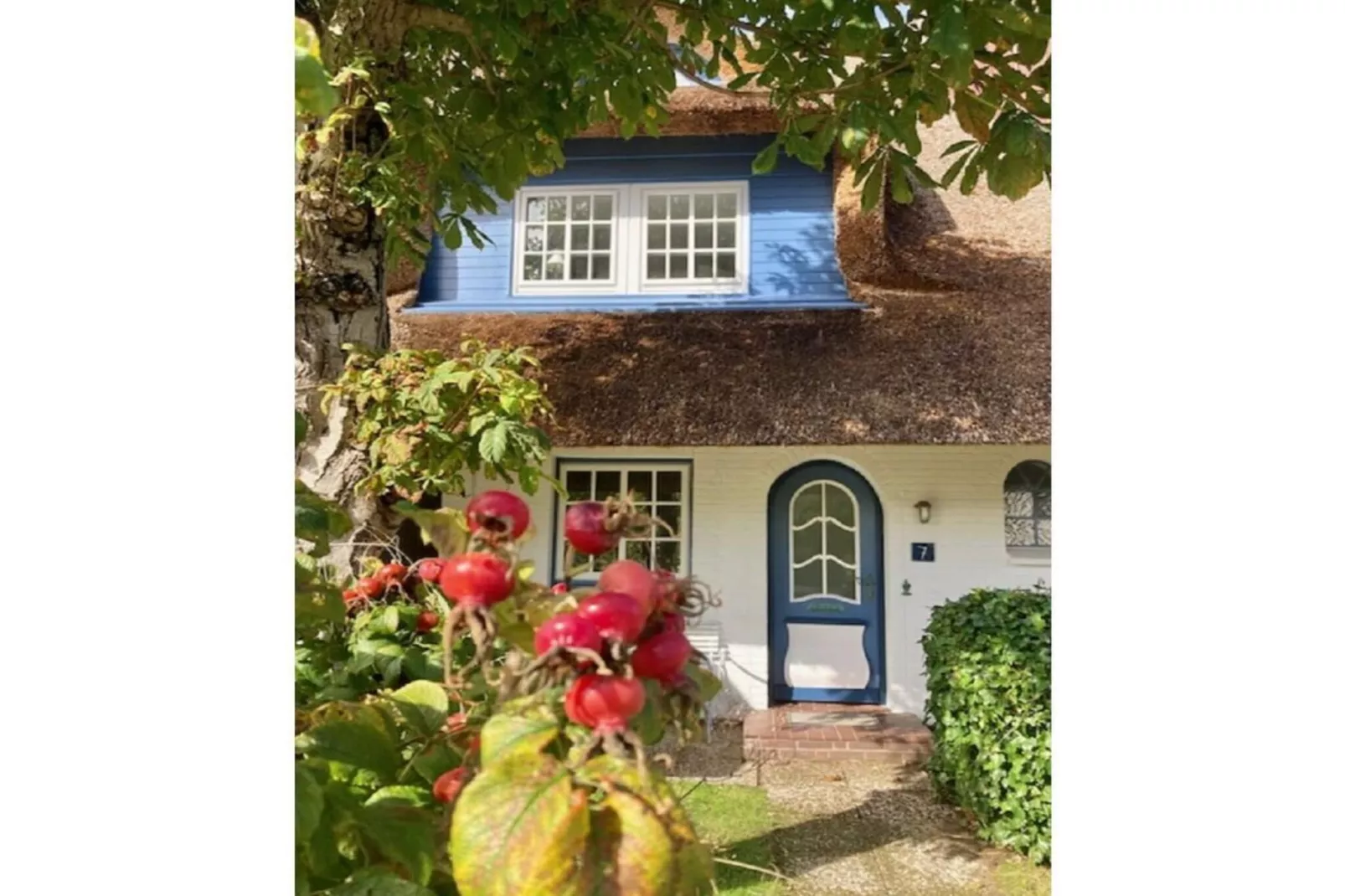 275862-Exterior in summer