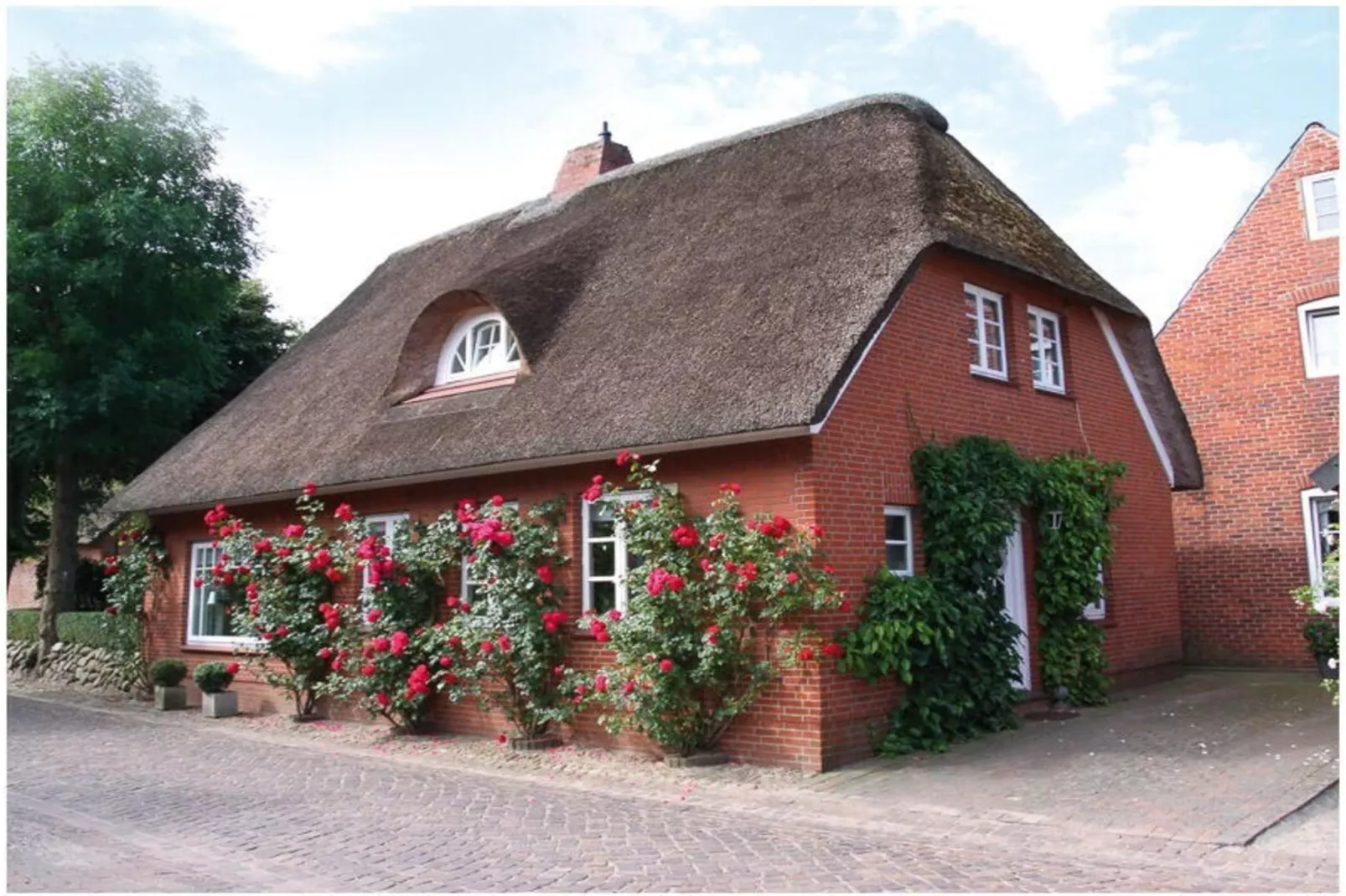 345853-Extérieur été