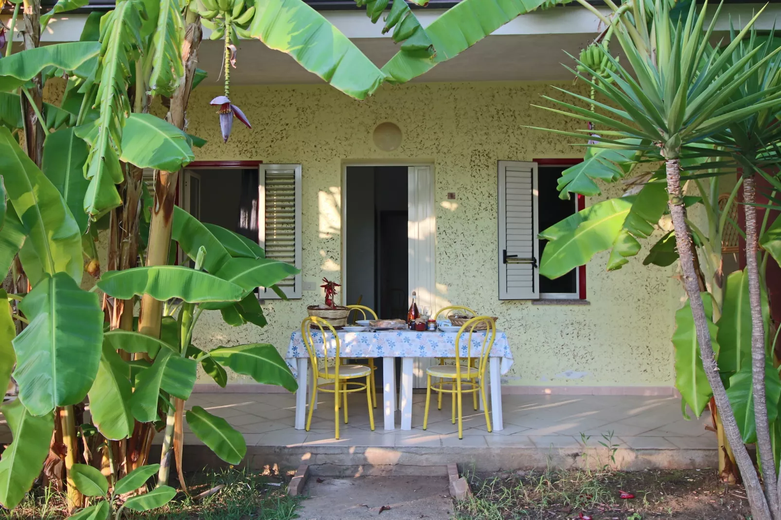 Cipolla Rossa-Exterior in summer