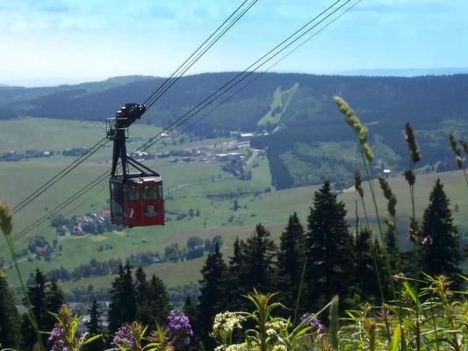 Fewo Katzengold-Image-tags.info