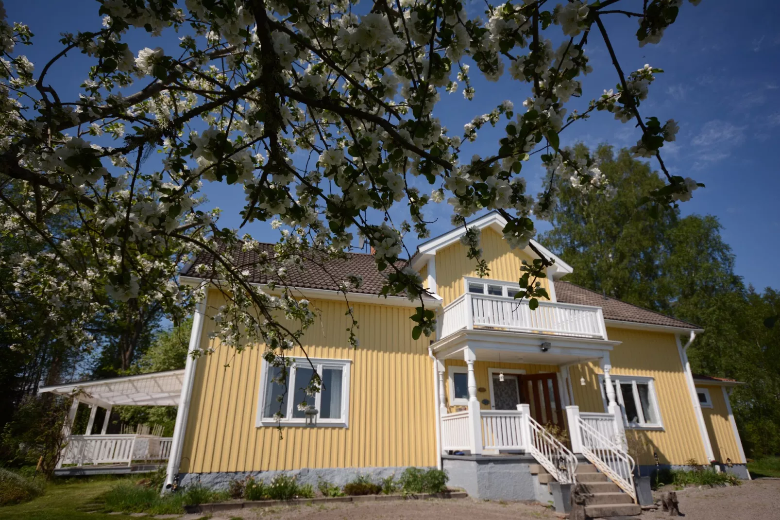 The Farm-Exterior in summer
