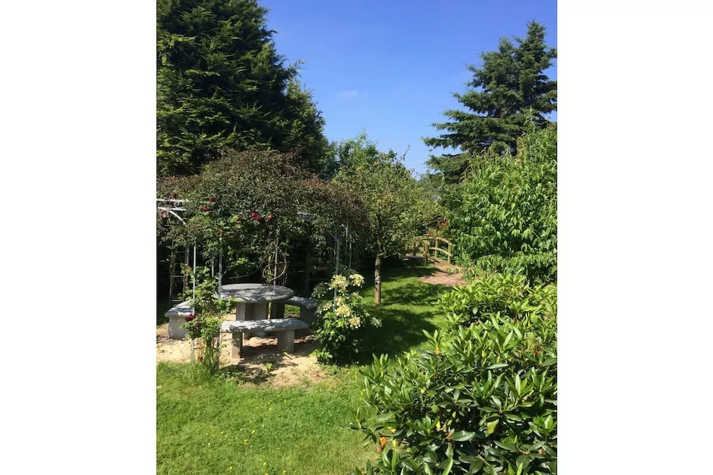 479956-Nicht zugeordnet