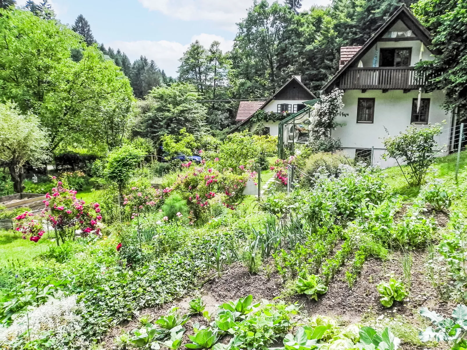 Himmelreichmühle-Dehors