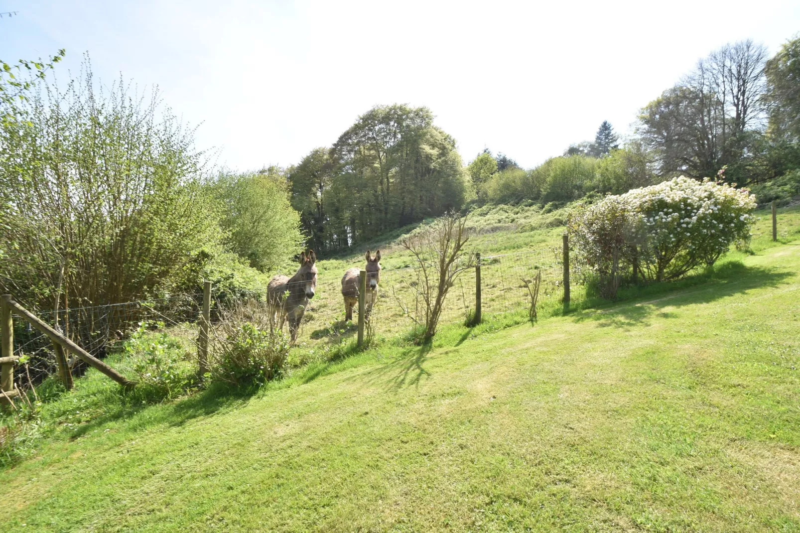 Les Vaux-Areas summer 1km