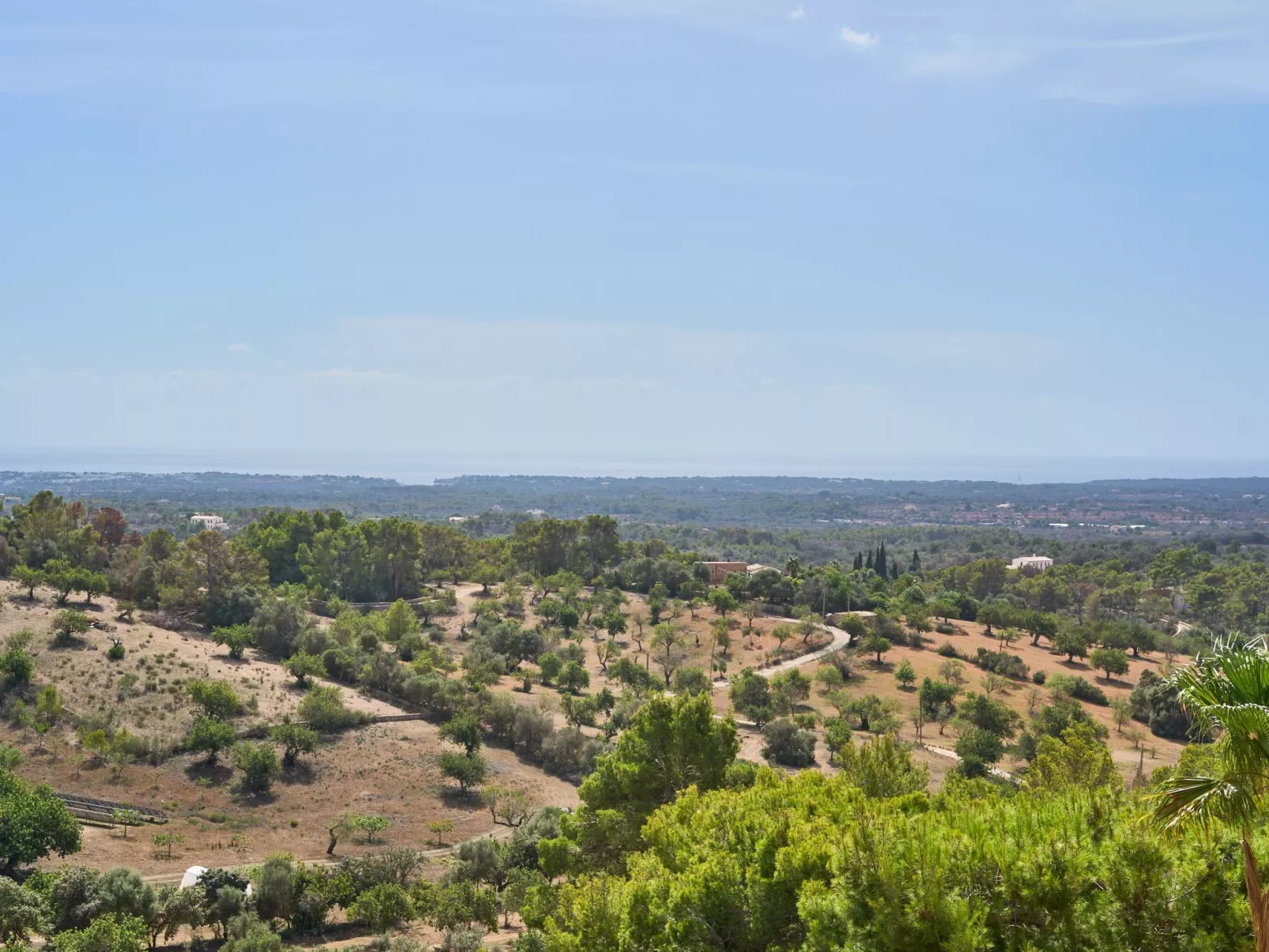 Puig de sa Figuera - Dehors