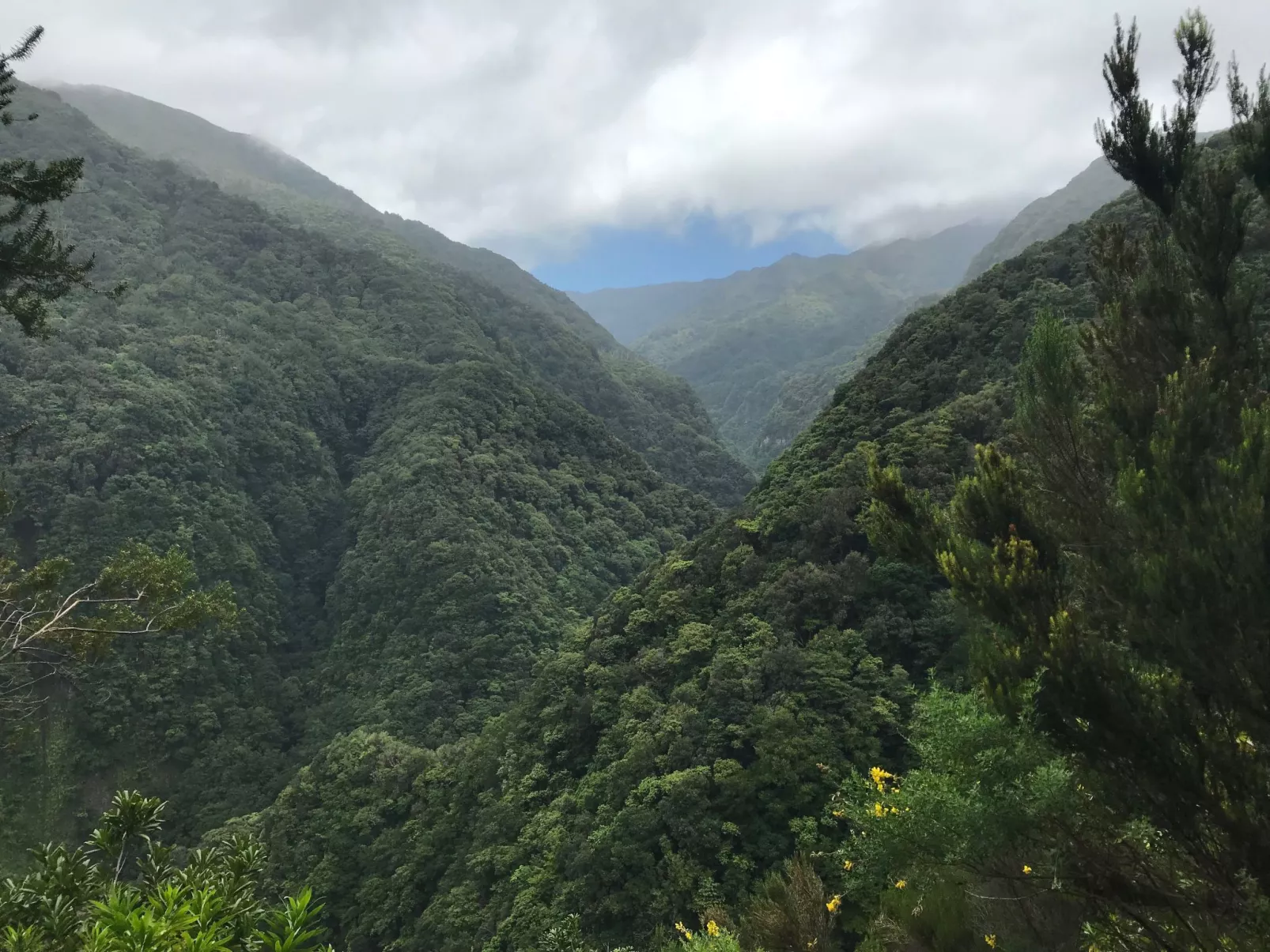 Mit Blick auf das Wasser-Image-tags.info