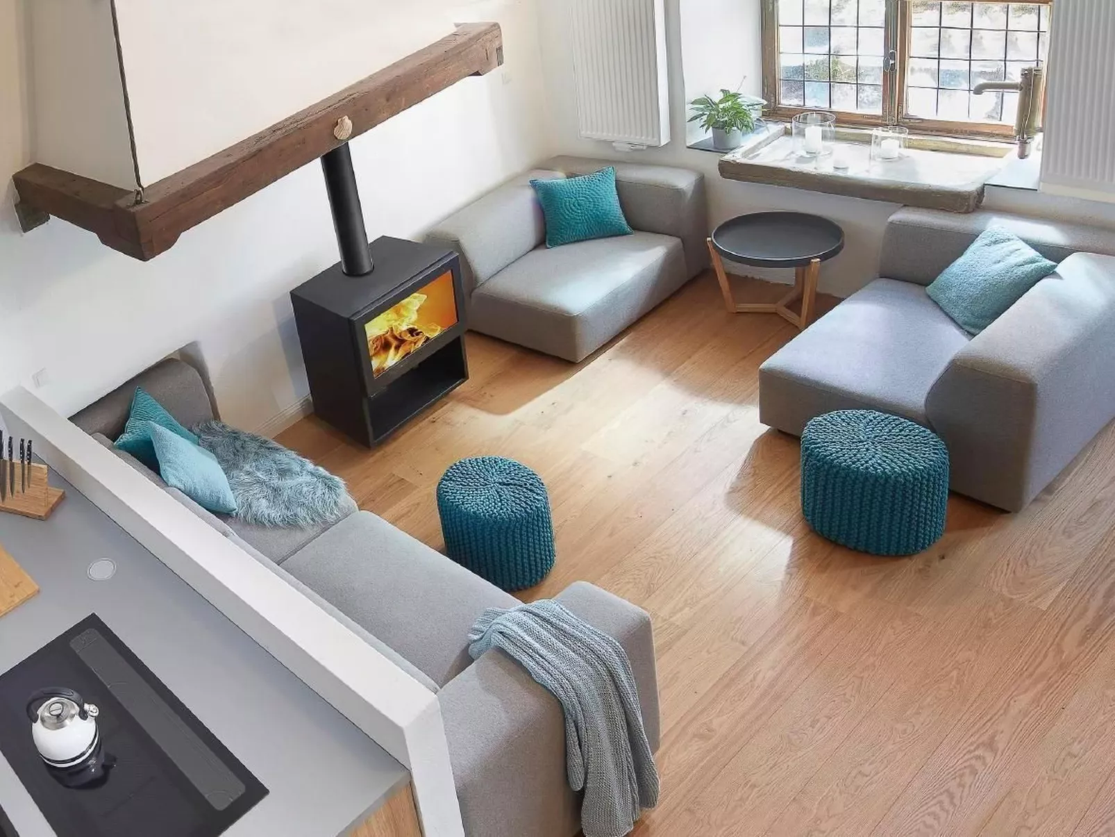 Olive Tree - Image-tags.info