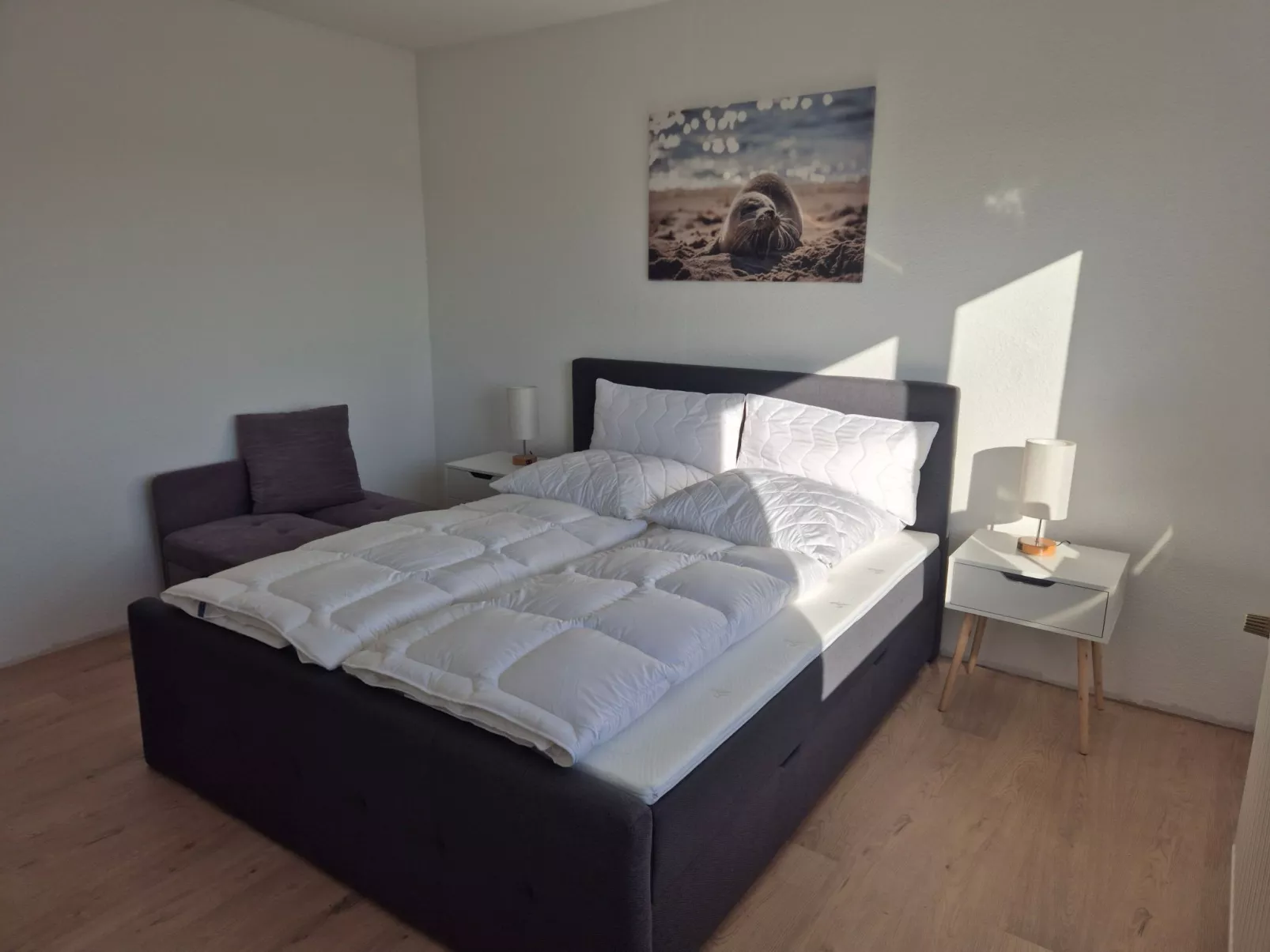 Fewo Kleine Robbe - Image-tags.info