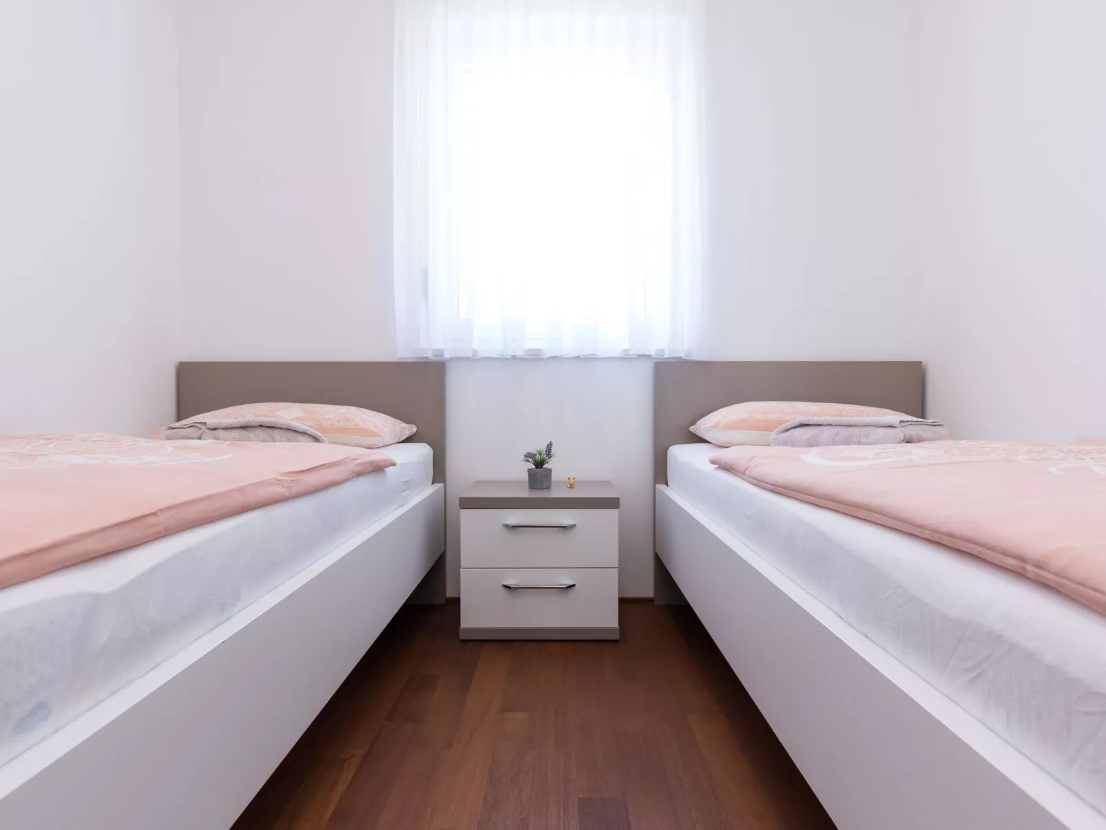 Niko 2 - Image-tags.info