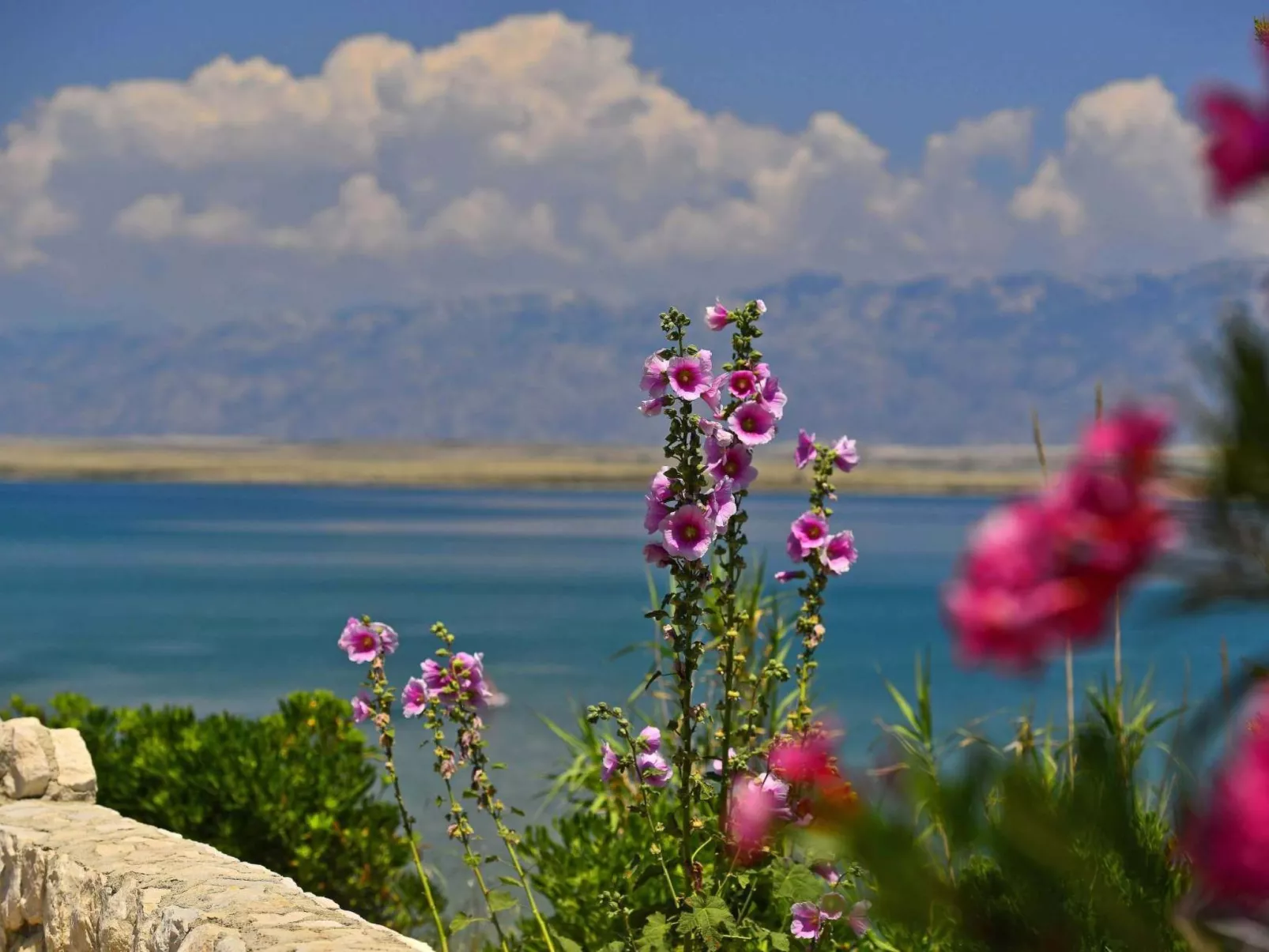 Haus in Pinezići mit privatem Pool - Image-tags.info