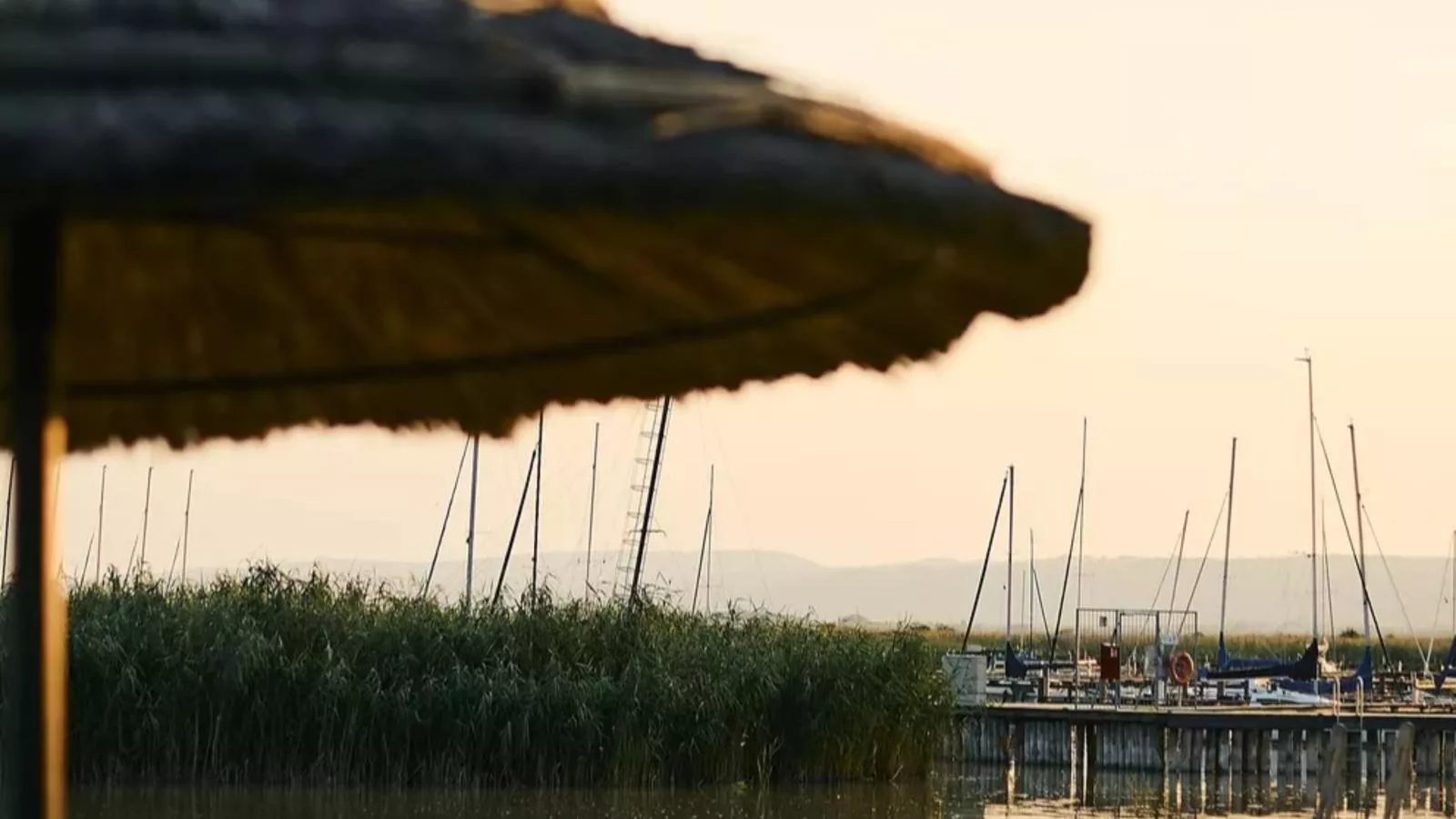 Guesthouse Naturgarten - Wasserblick