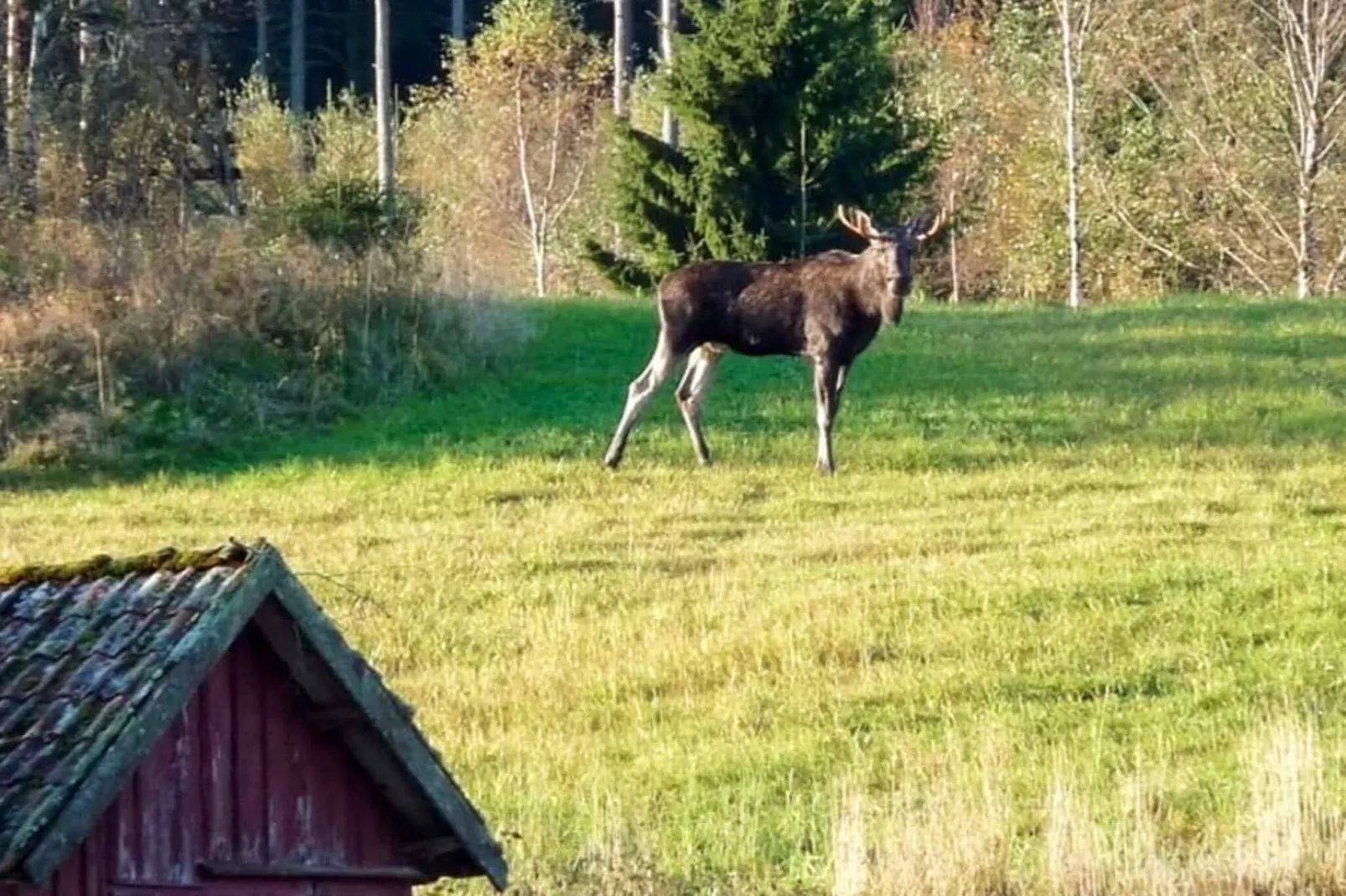 6 person holiday home in HUNNEBOSTRAND-Outdoor