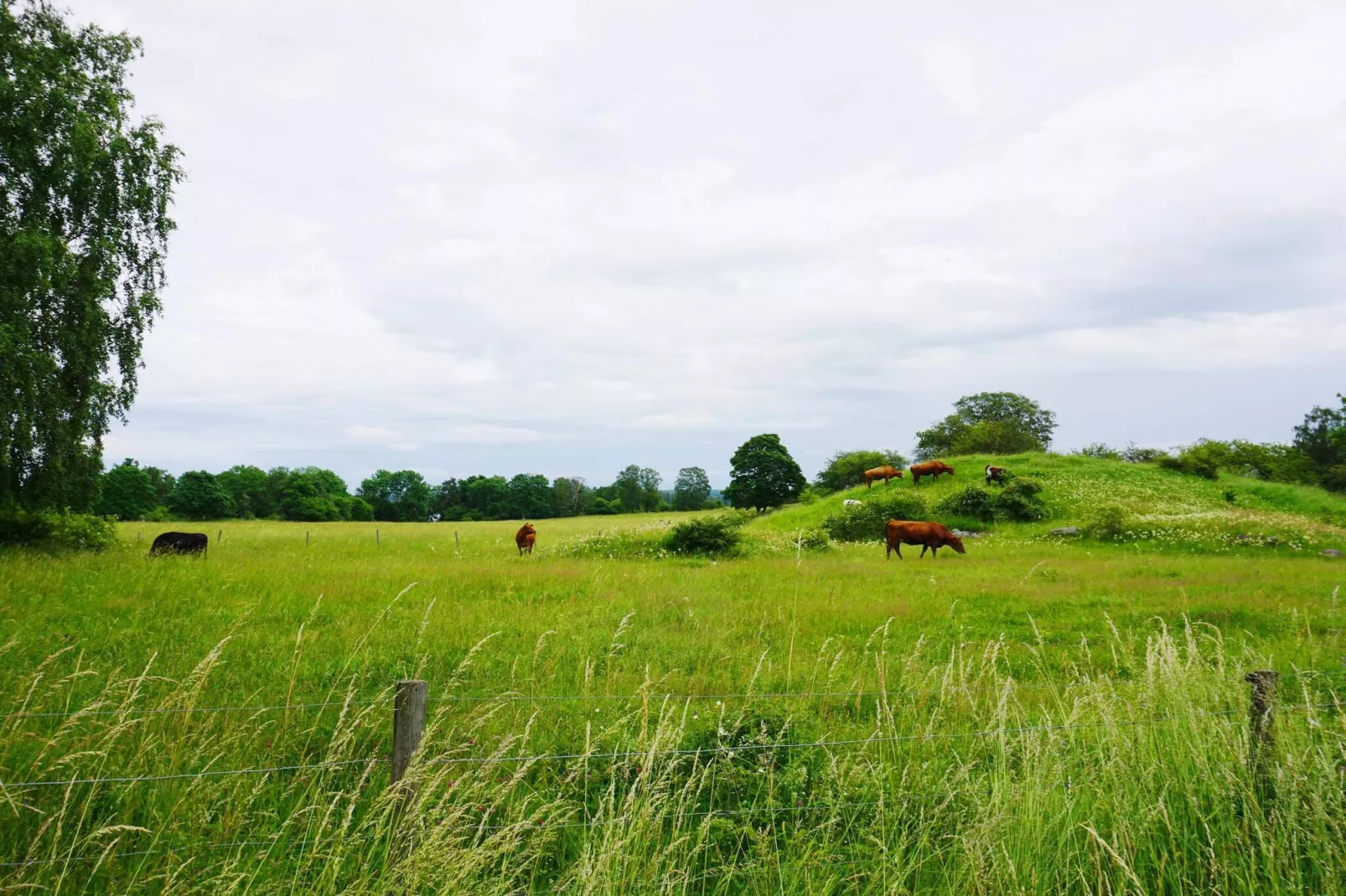 8 Personen Ferienhaus in ADELSÖ-Nicht zugeordnet