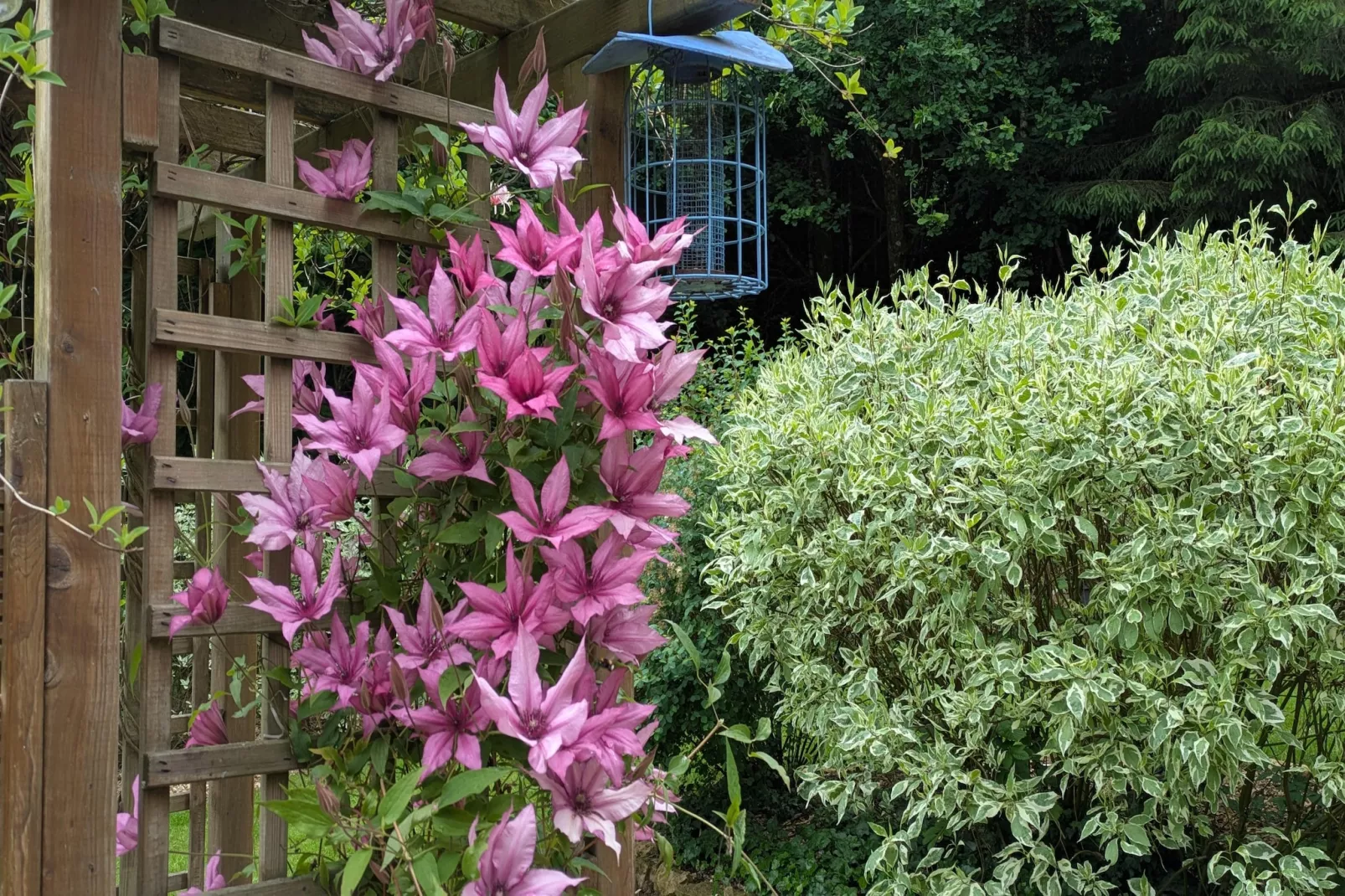 Chatillon 67-Ambiente