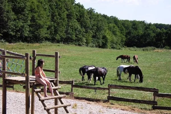 Domaine de Gavaudun - Gite La Chatière-Park facilities