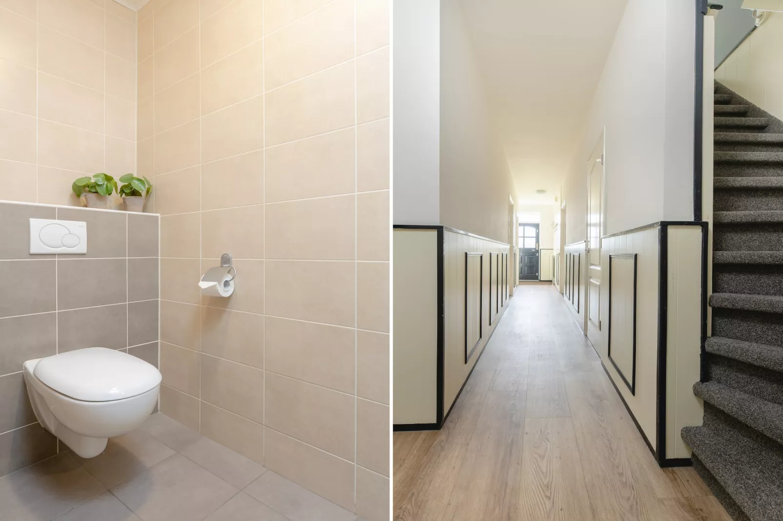 Vakantiepark Mölke 16 - Hall & reception