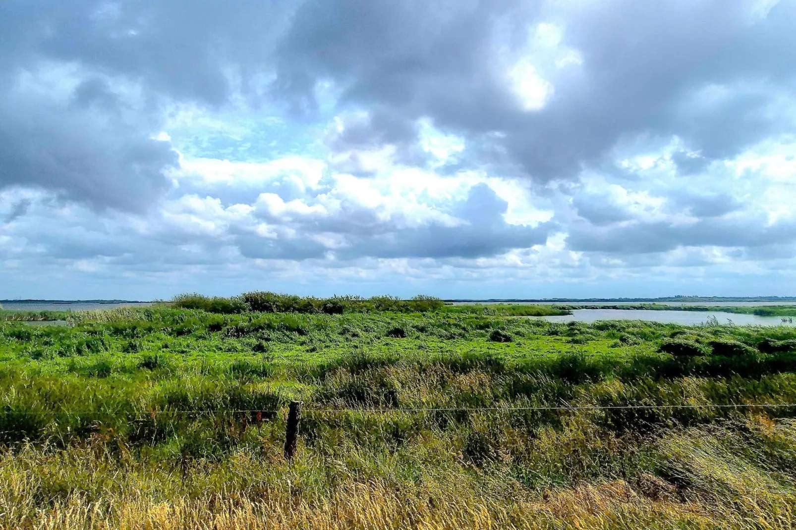 8 person holiday home in Skjern-By Traum - Untagged