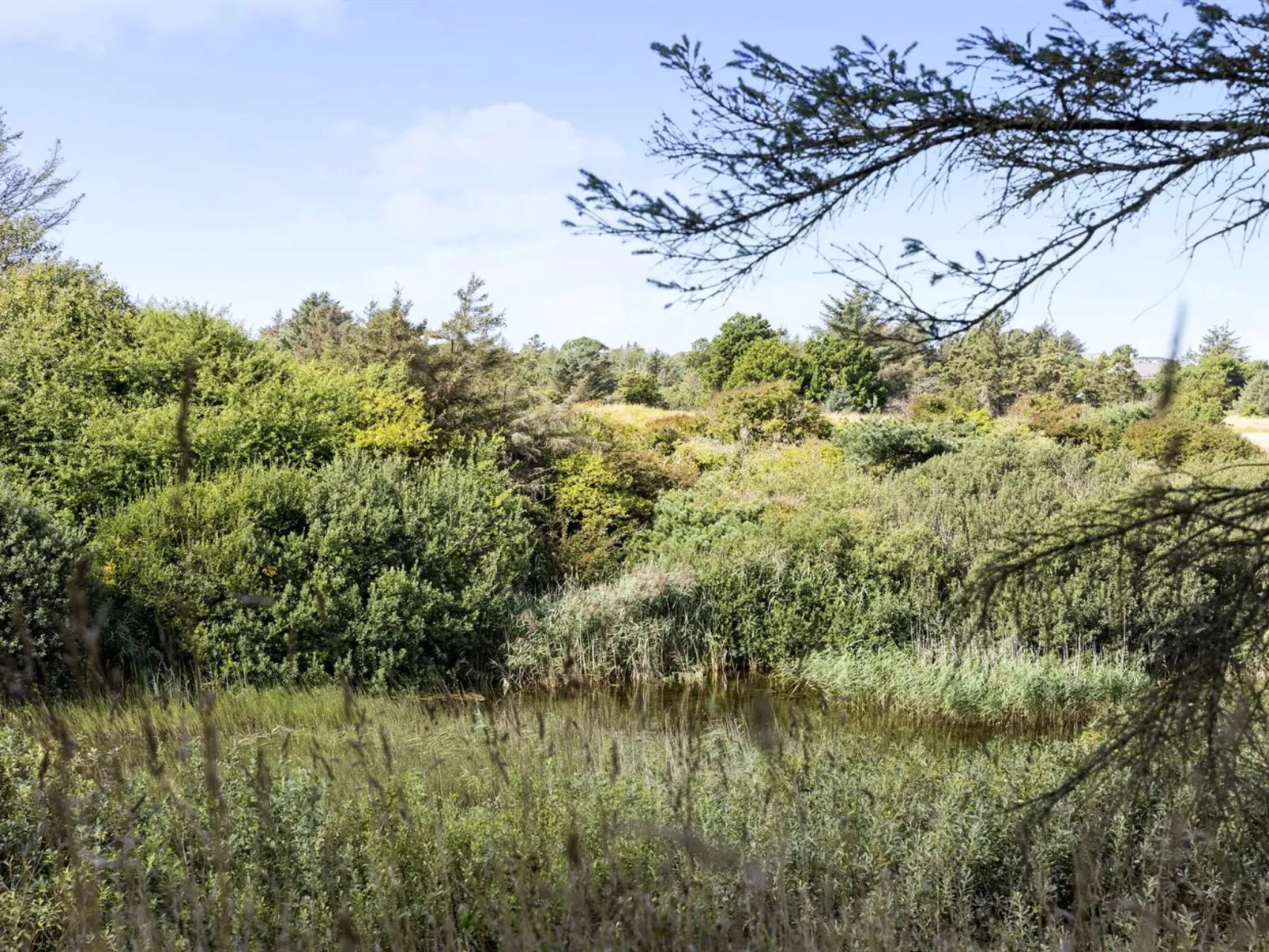 "Joris" - 1.5km from the sea-Draußen