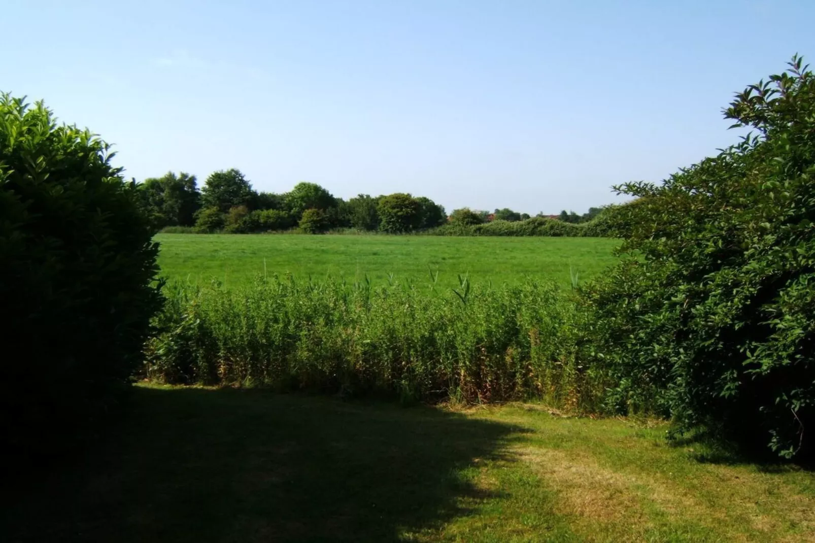 381370-Areas within 1km in summer