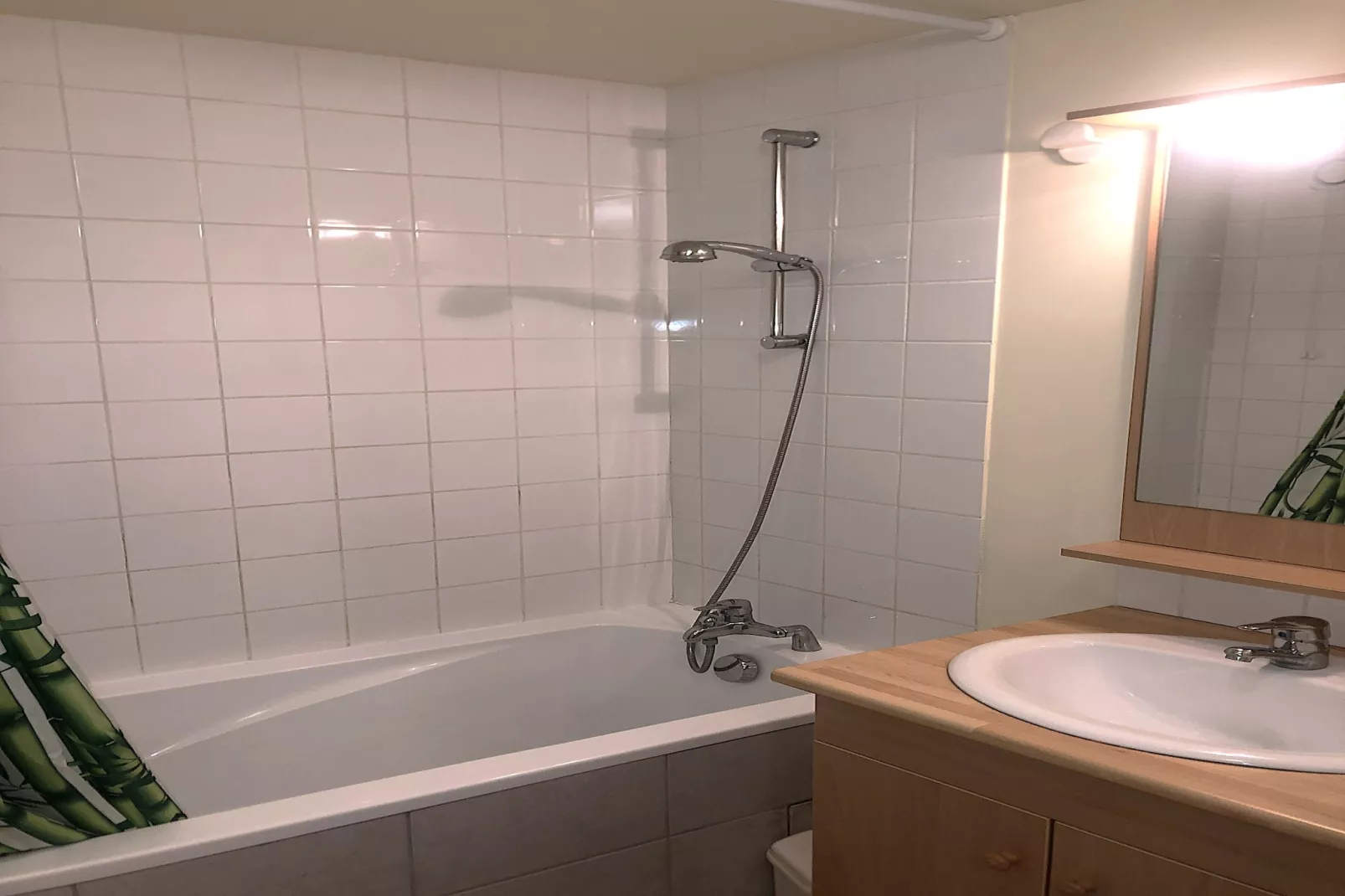 Terrasses F 102 - PARC NAT. VANOISE appart. 4 pers-Salle de bain